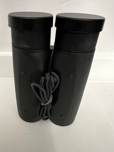 Canon 10x25A Compact Pocket Binoculars (5.2° Field) - Mint, Unused