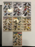 Bird Song Identifier Cards with Sound Chips - Set of 7 (Yardbirds & Eastern Warblers)