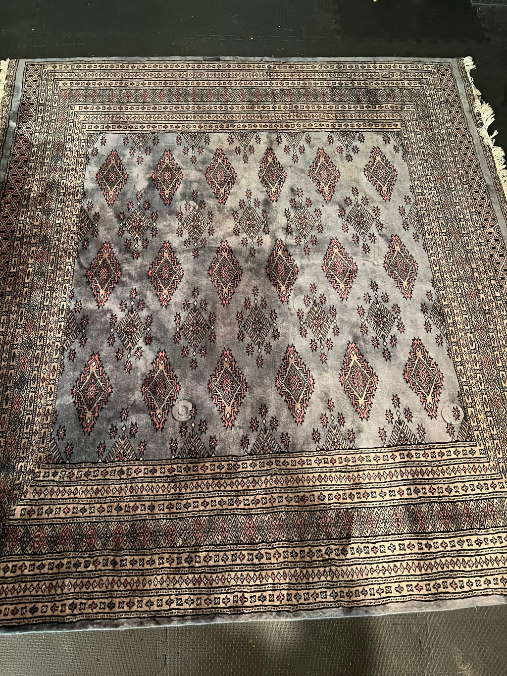 Authentic Bokhara Hand-Knotted Wool Rug, Slate Blue & Cream, 73.5" x 70"