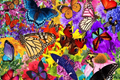 "I Love Your Wings" Limited Edition 300-Piece Butterfly Puzzle - Signed by Artist David Schary