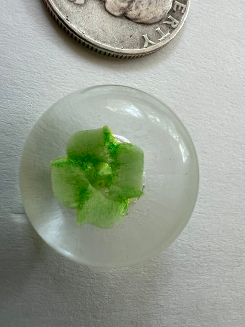 Vintage 1980s Clear Nylon Shank Buttons with Green Star Interior — Set of 20
