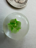 Vintage 1980s Clear Nylon Shank Buttons with Green Star Interior — Set of 20