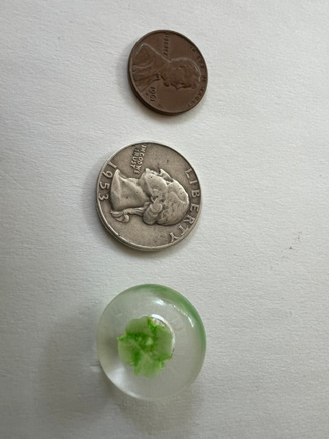 Vintage 1980s Clear Nylon Shank Buttons with Green Star Interior — Set of 20
