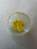 Vintage 1980s Clear Resin Shank Buttons with Yellow Rose - Set of 35