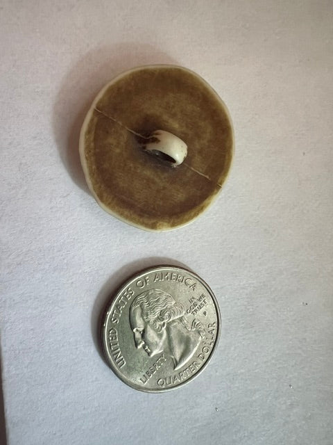 Vintage Hand Carved Indian Shank Buttons, 1 1/4" Cream & Brown - Lot of 12