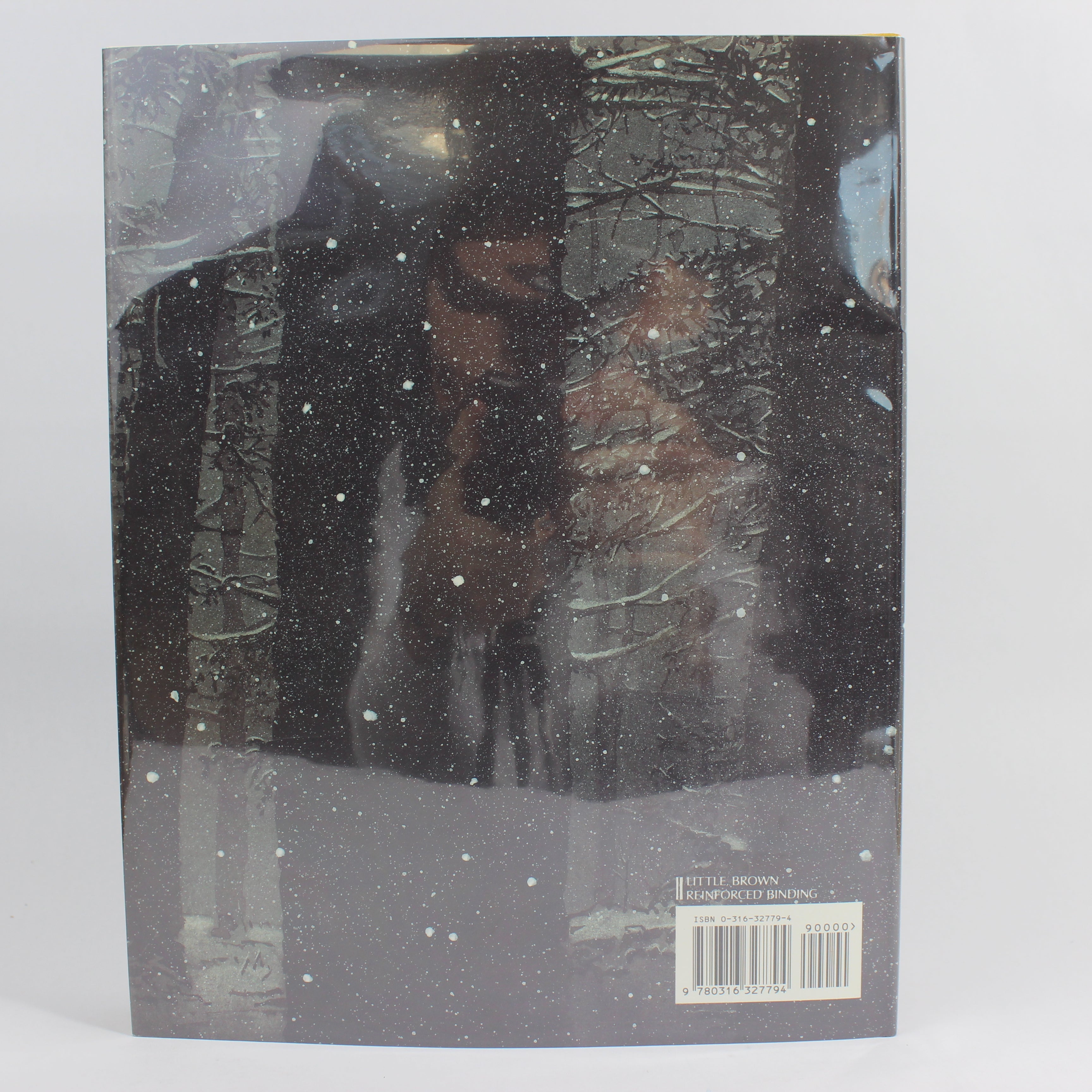 Through the Mickle Woods - Valiska Gregory (First Edition, Hardcover, 1992) - Image 2