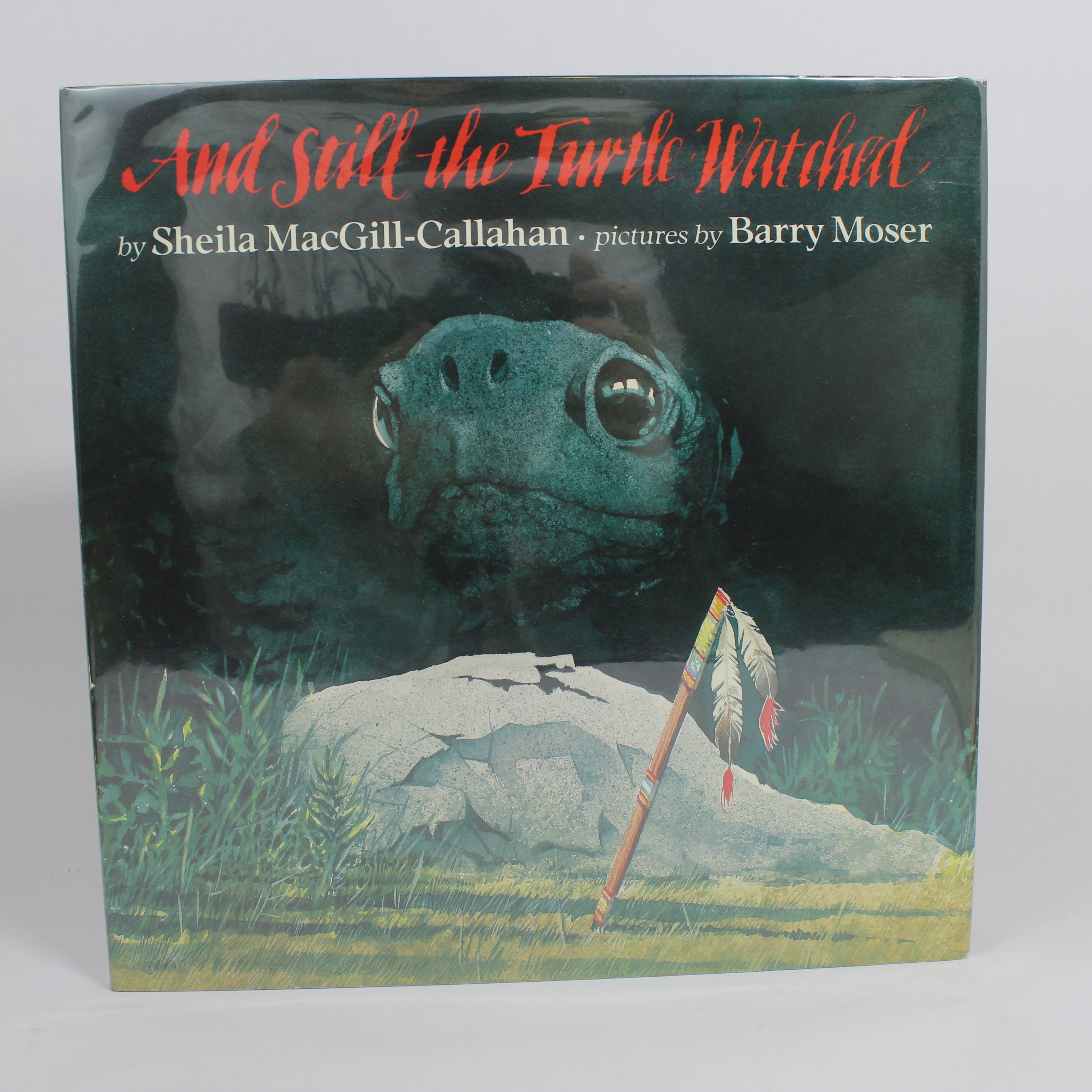 And Still the Turtle Watched - Sheila MacGill-Callahan (First Edition, Hardcover, 1991)