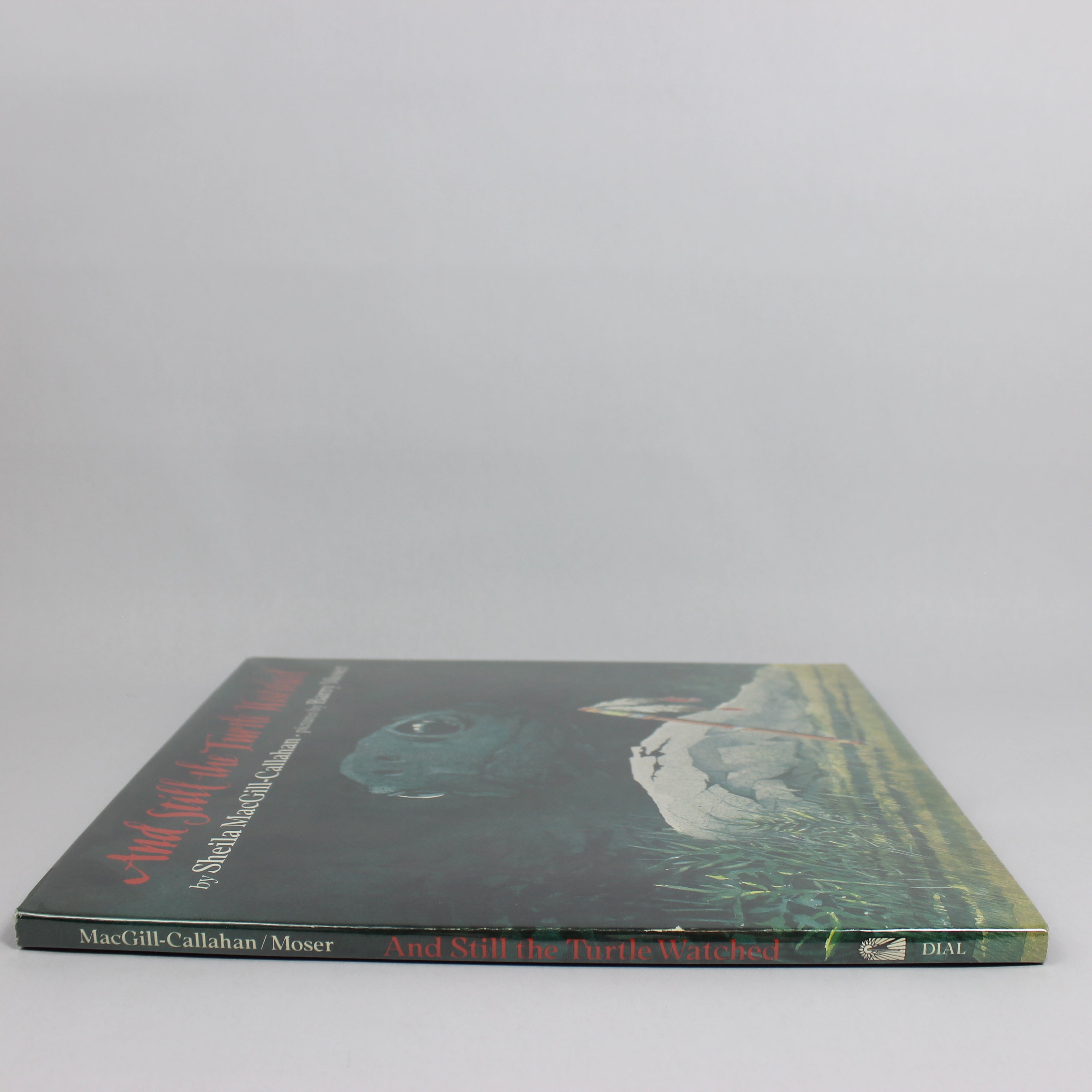 And Still the Turtle Watched - Sheila MacGill-Callahan (First Edition, Hardcover, 1991) - Image 4