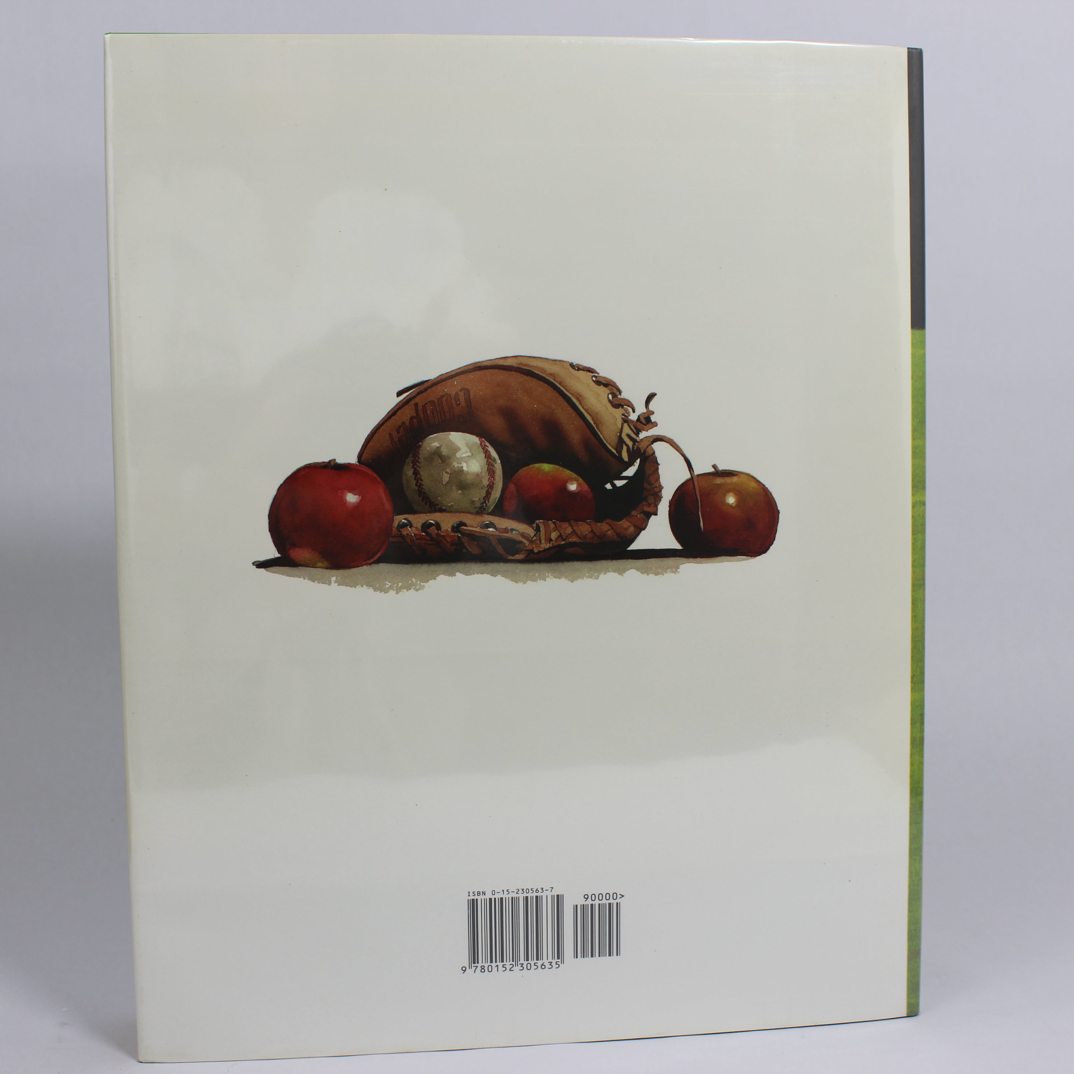 Cloud Eyes - Kathryn Lasky (First Edition, Hardcover, 1994) - Image 3