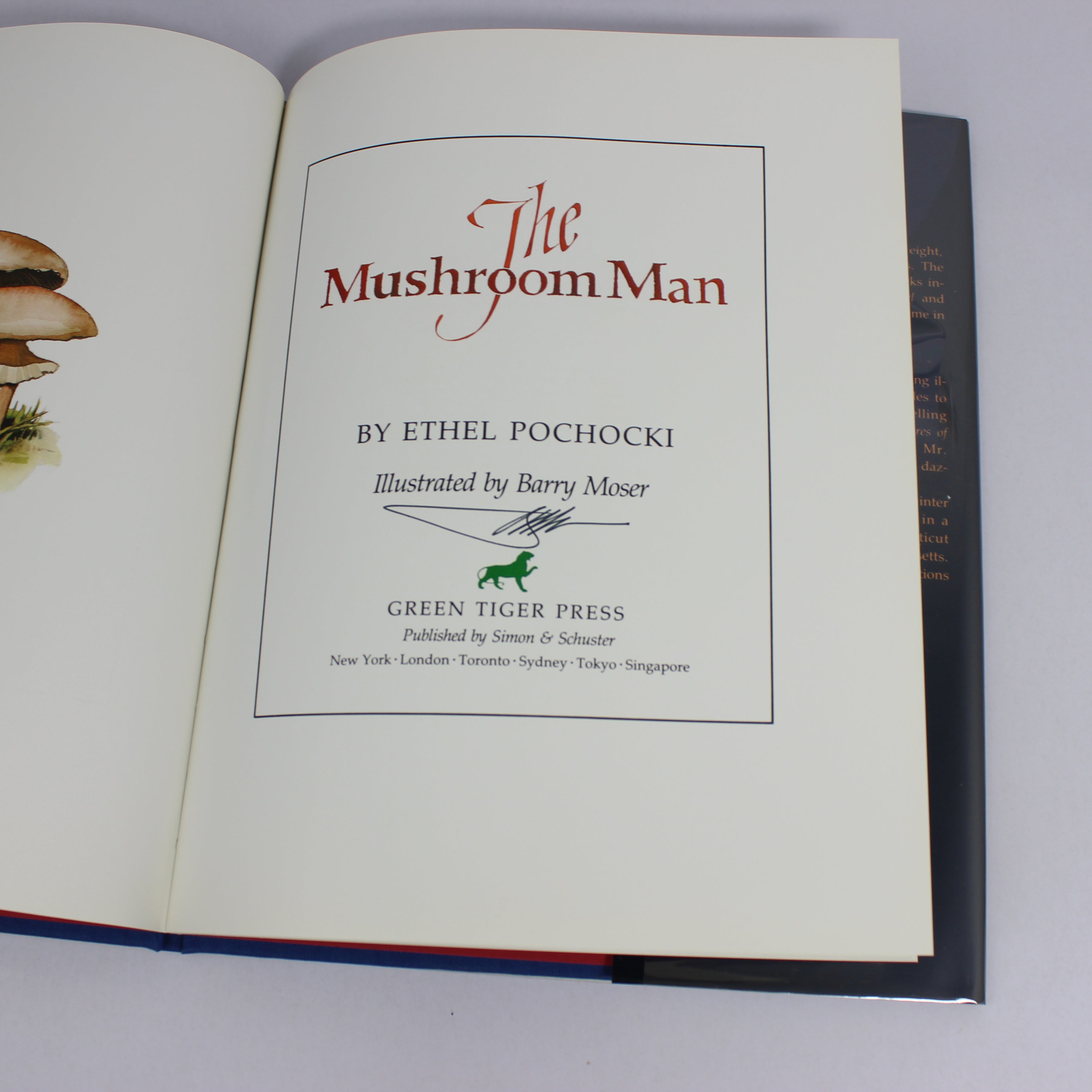 The Mushroom Man - Ethel Pochocki (First Edition, Hardcover, 1993) - Image 2