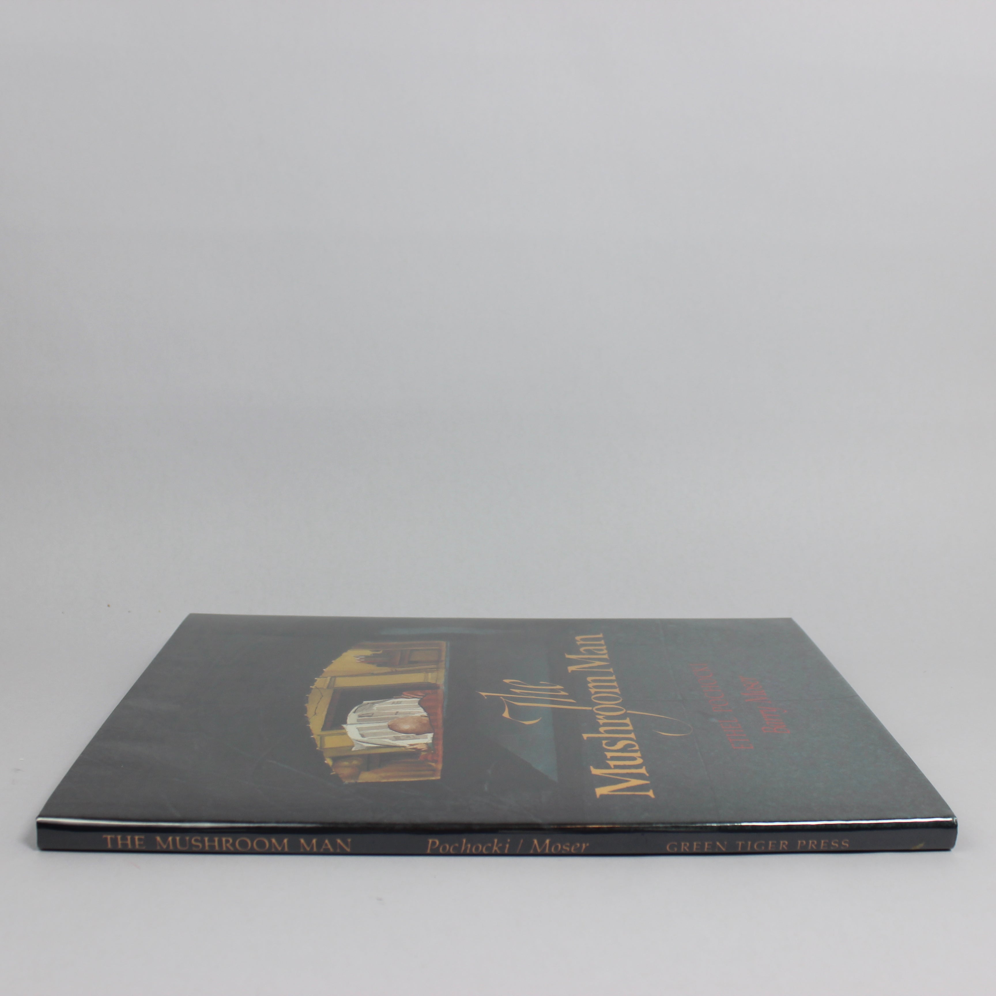 The Mushroom Man - Ethel Pochocki (First Edition, Hardcover, 1993) - Image 3