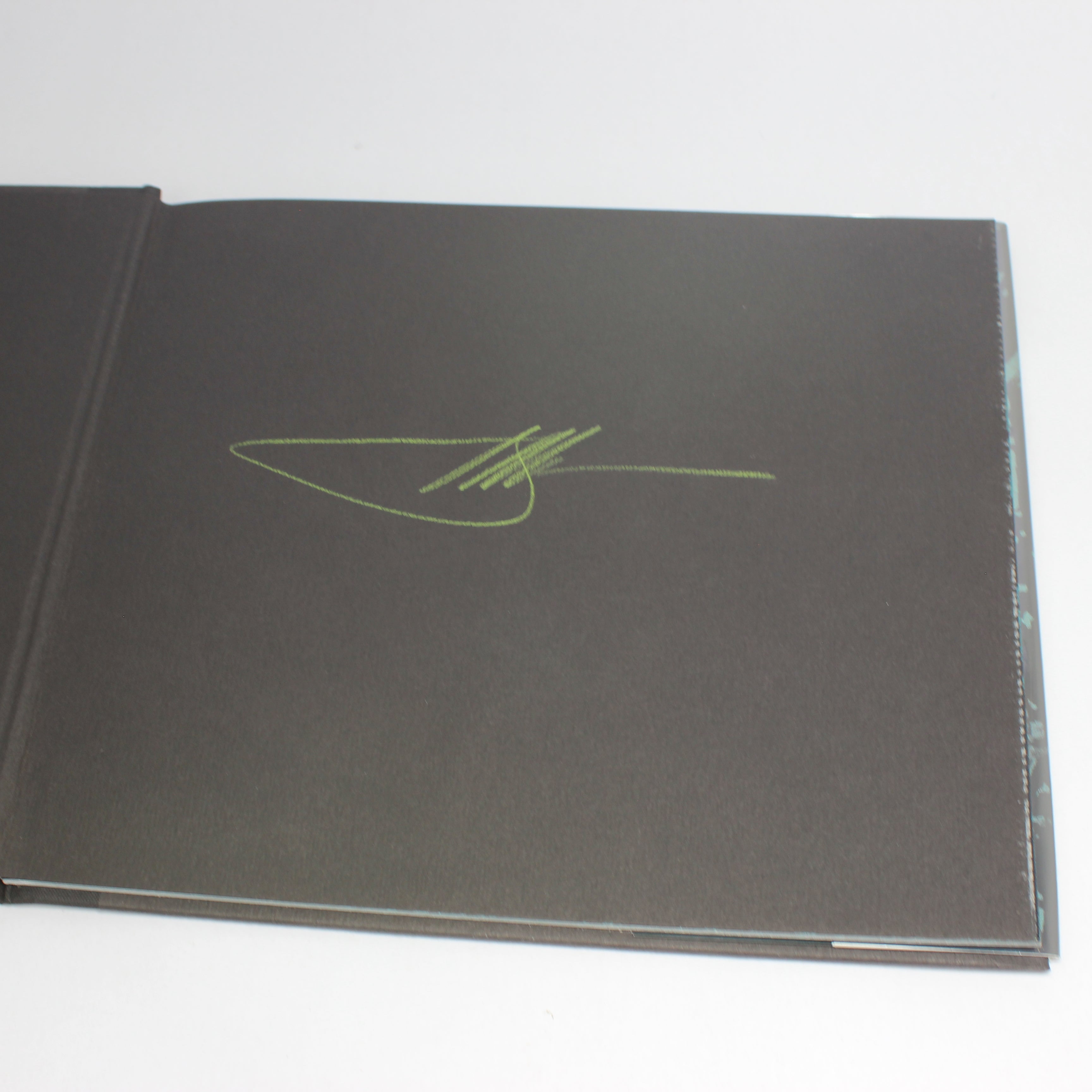 The Magic Wood: A Poem - Henry Treece (First Edition, Hardcover, 1992) - Image 2