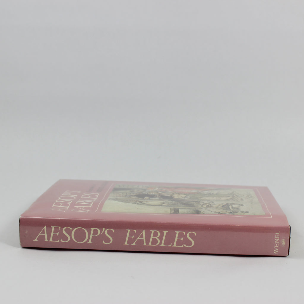 Aesop's Fables - Arthur Rackham, V S Vernon Jones, G. K. Chesterton (Hardcover, 1992) - Image 3