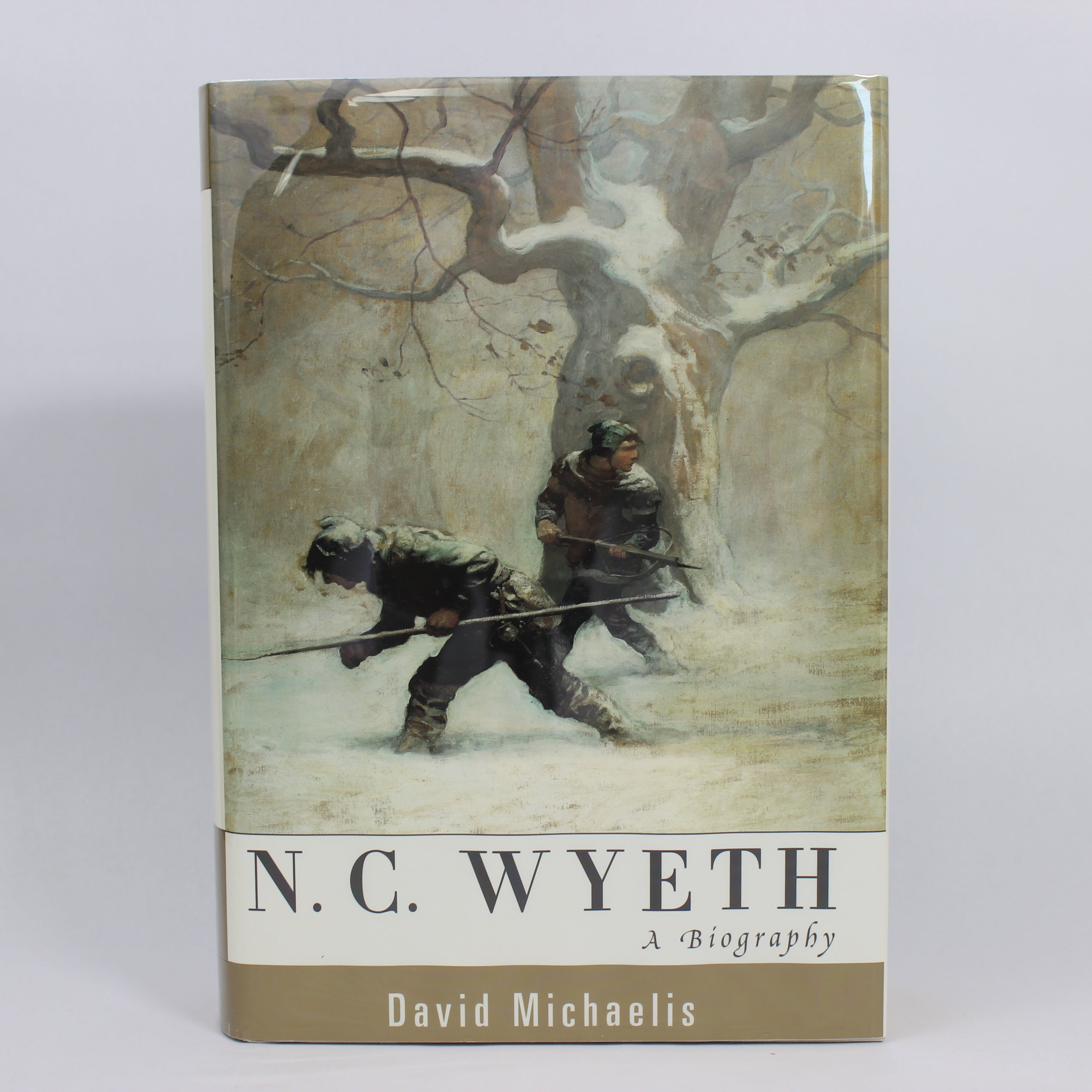 N. C. Wyeth: A Biography - David Michaelis (First Edition, Hardcover, 1998)