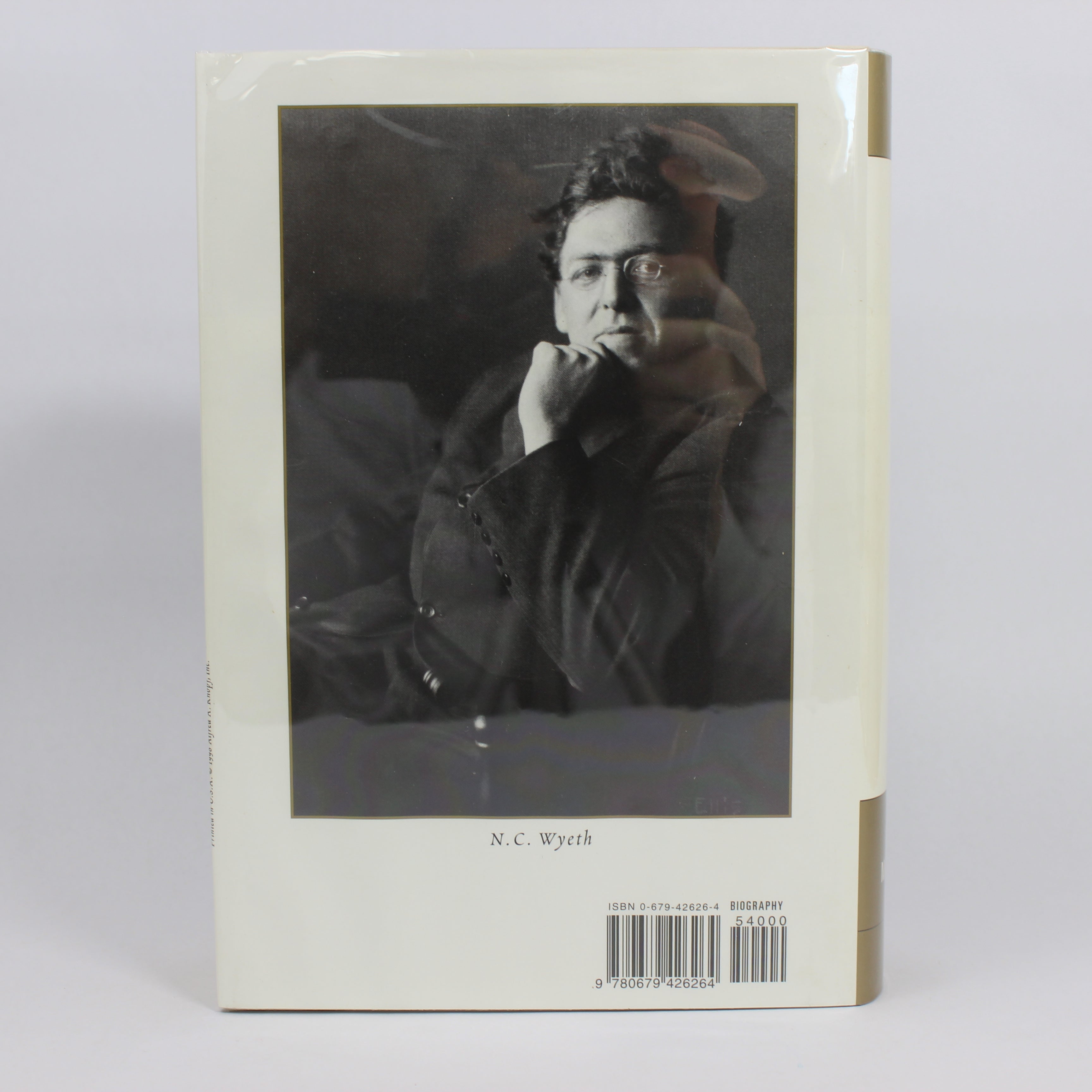 N. C. Wyeth: A Biography - David Michaelis (First Edition, Hardcover, 1998) - Image 2