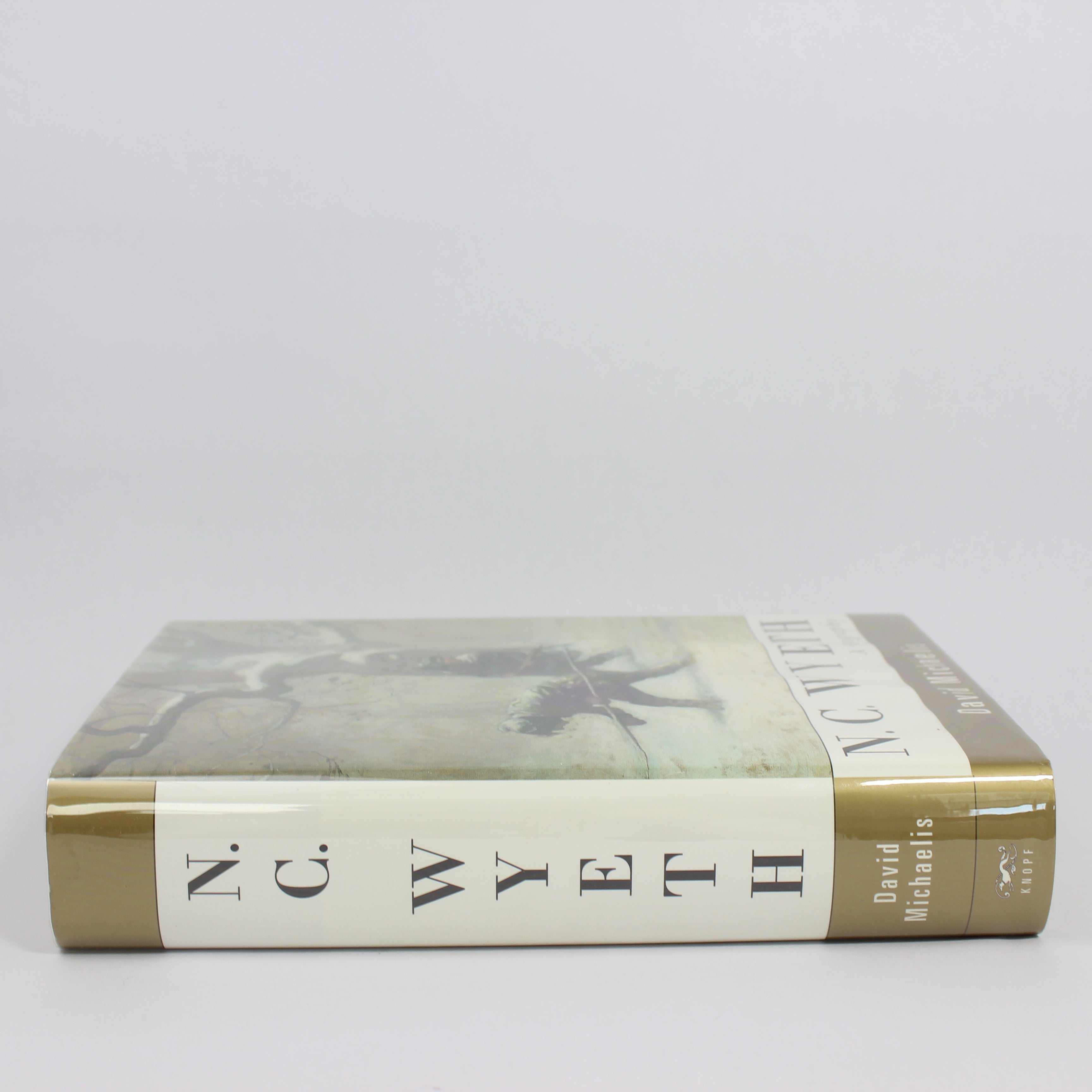 N. C. Wyeth: A Biography - David Michaelis (First Edition, Hardcover, 1998) - Image 3