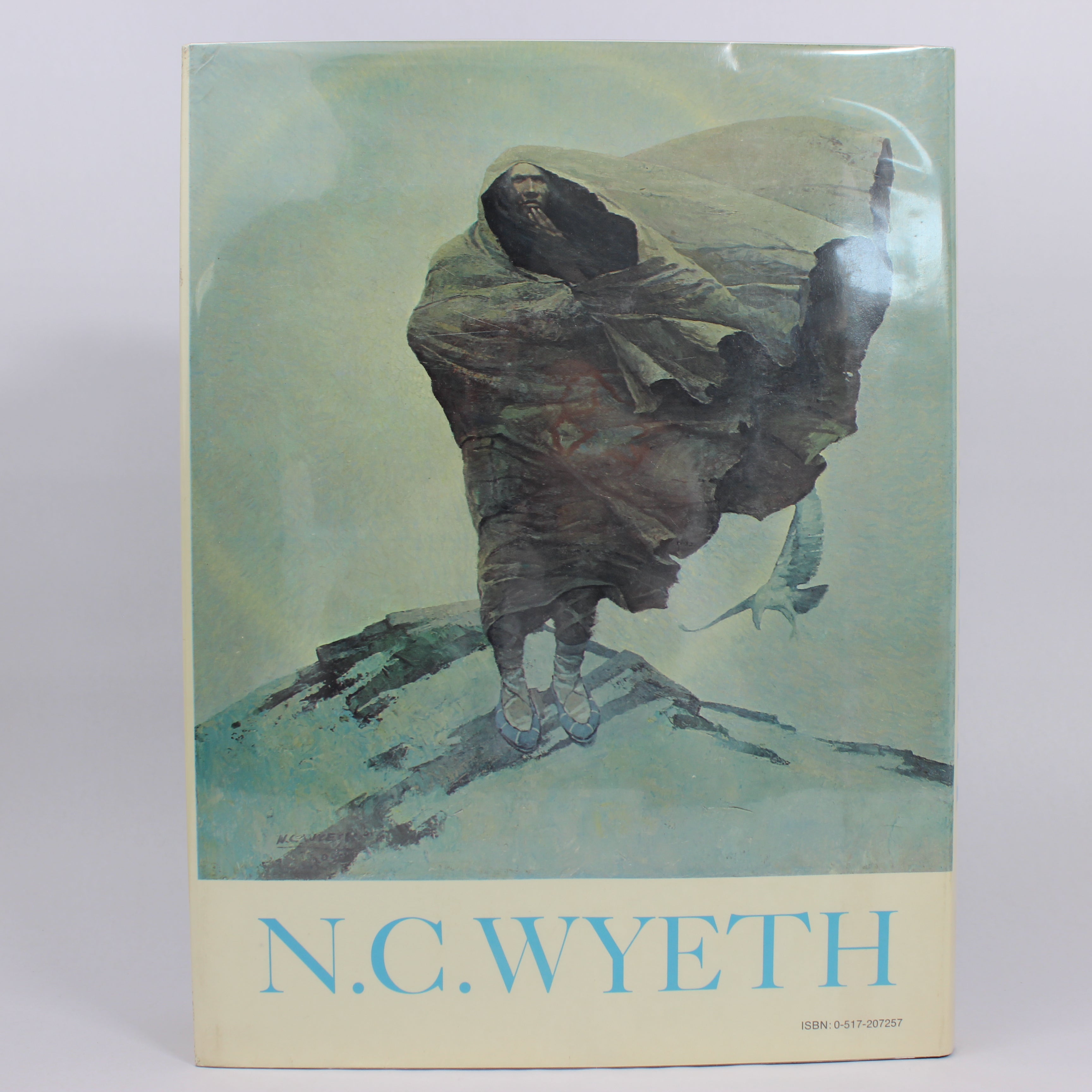 N.C. Wyeth: The Collected Paintings, Illustrations and Murals - Douglas Jr Allen, Douglas Allen, Richard Layton, Paul Hogan (Hardcover, 1984) - Image 2