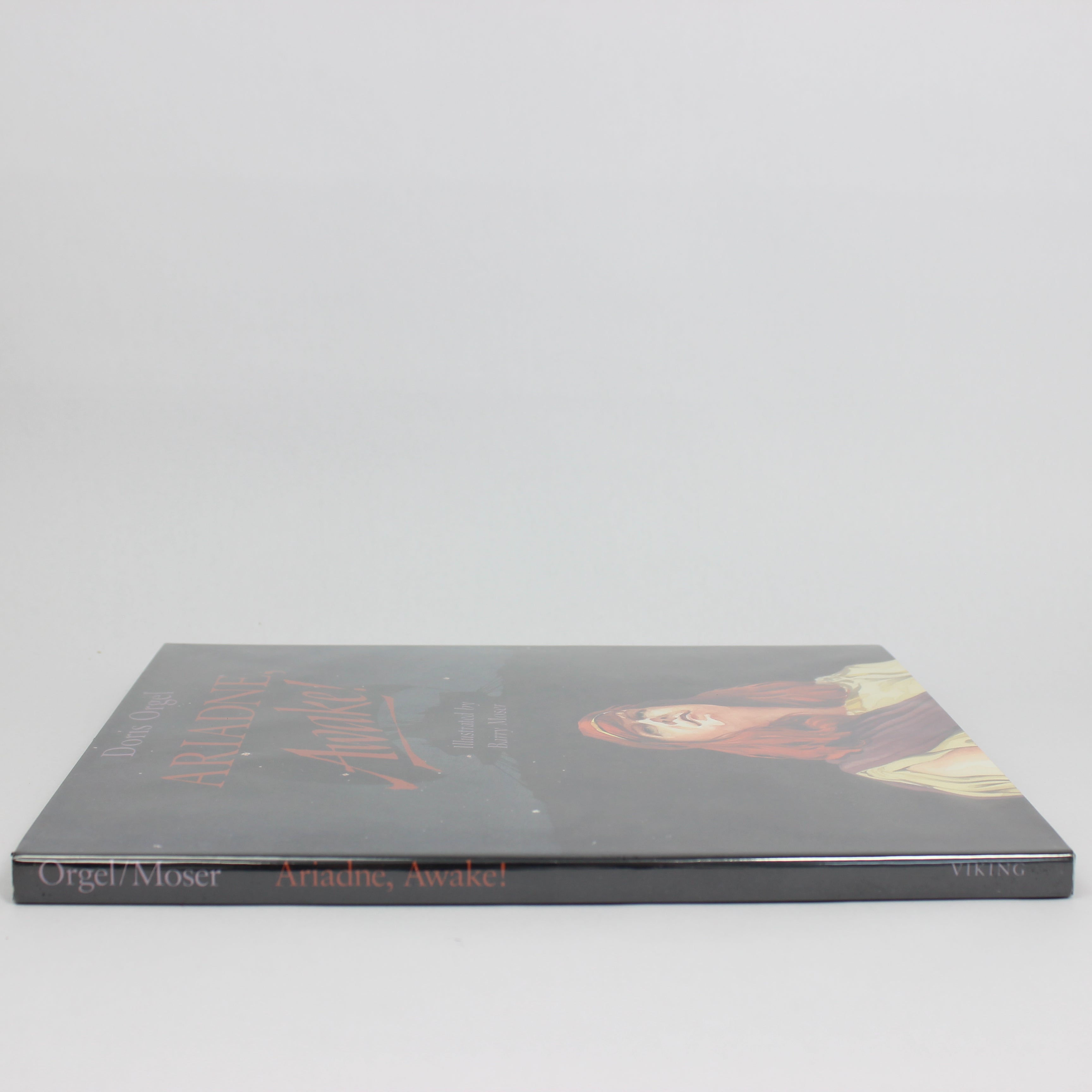 Ariadne, Awake! - Doris Orgel (First Edition, Hardcover, 1994) - Image 4