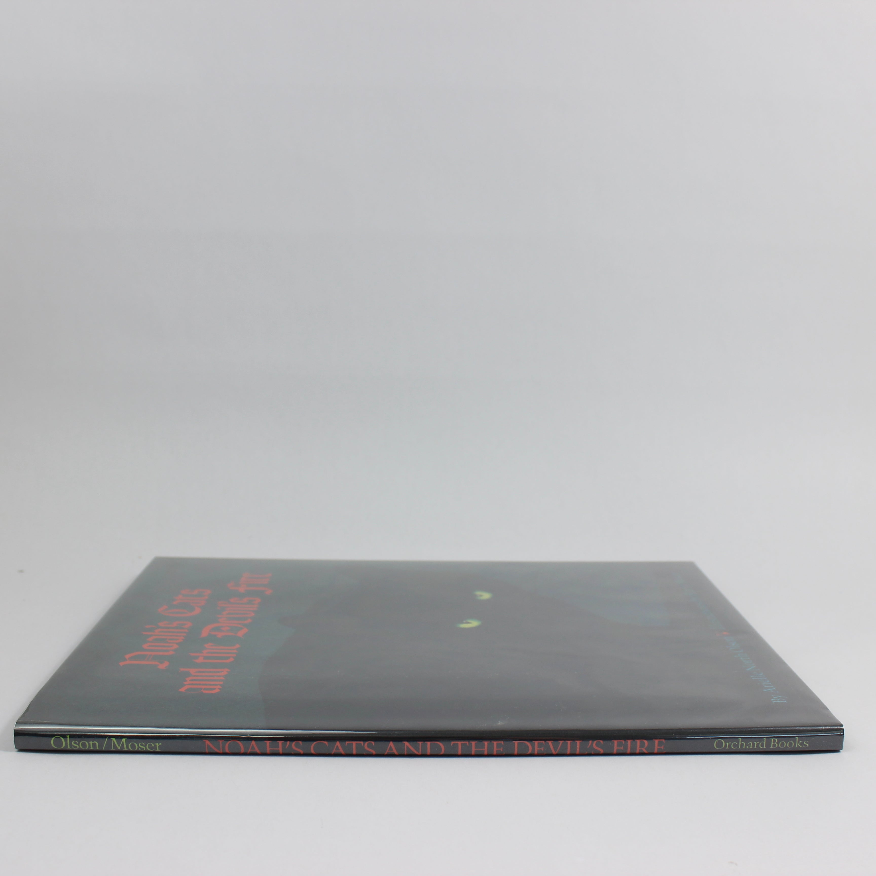 Noah's Cats and the Devil's Fire - Arielle North Olsen (First Edition, Hardcover, 1992) - Image 3