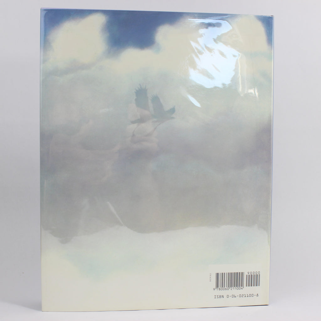 Eagle Boy: A Traditional Navajo Legend - Gerald Hausman (First Edition, Hardcover, 1995) - Image 2