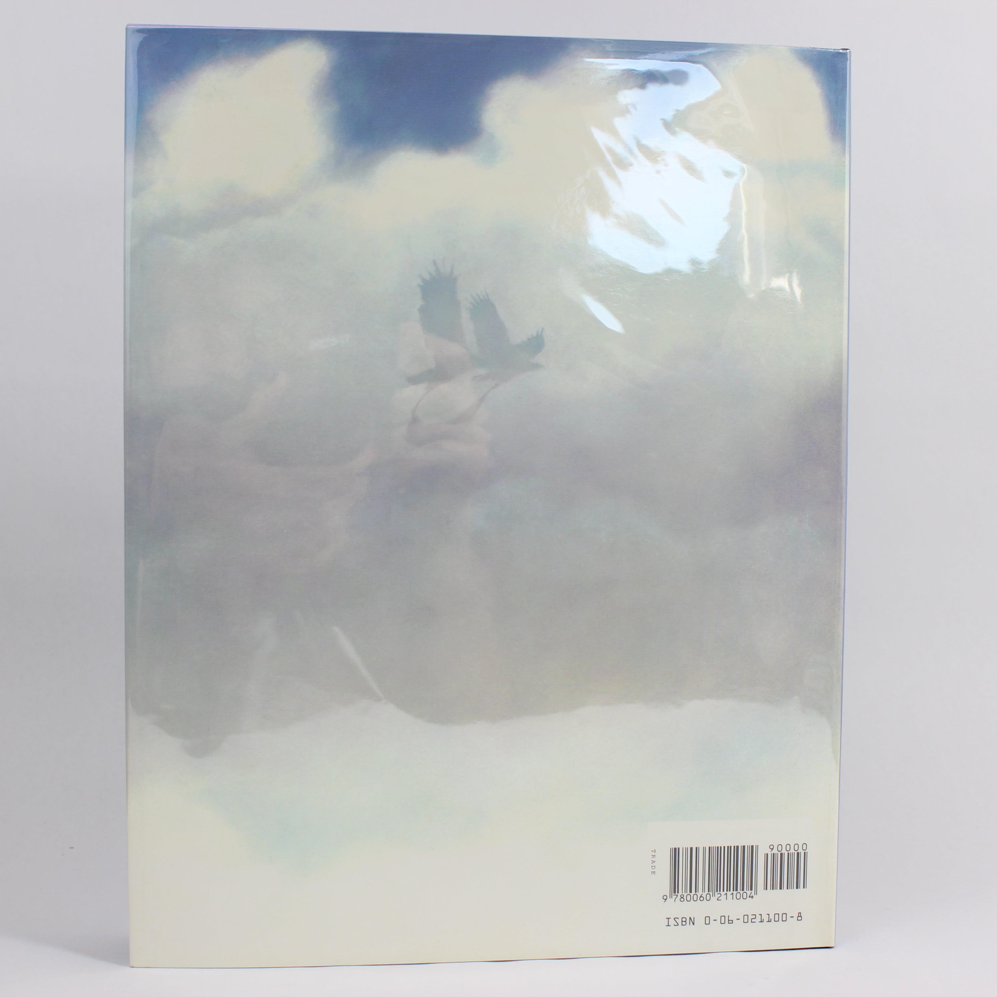 Eagle Boy: A Traditional Navajo Legend - Gerald Hausman (First Edition, Hardcover, 1995) - Image 2