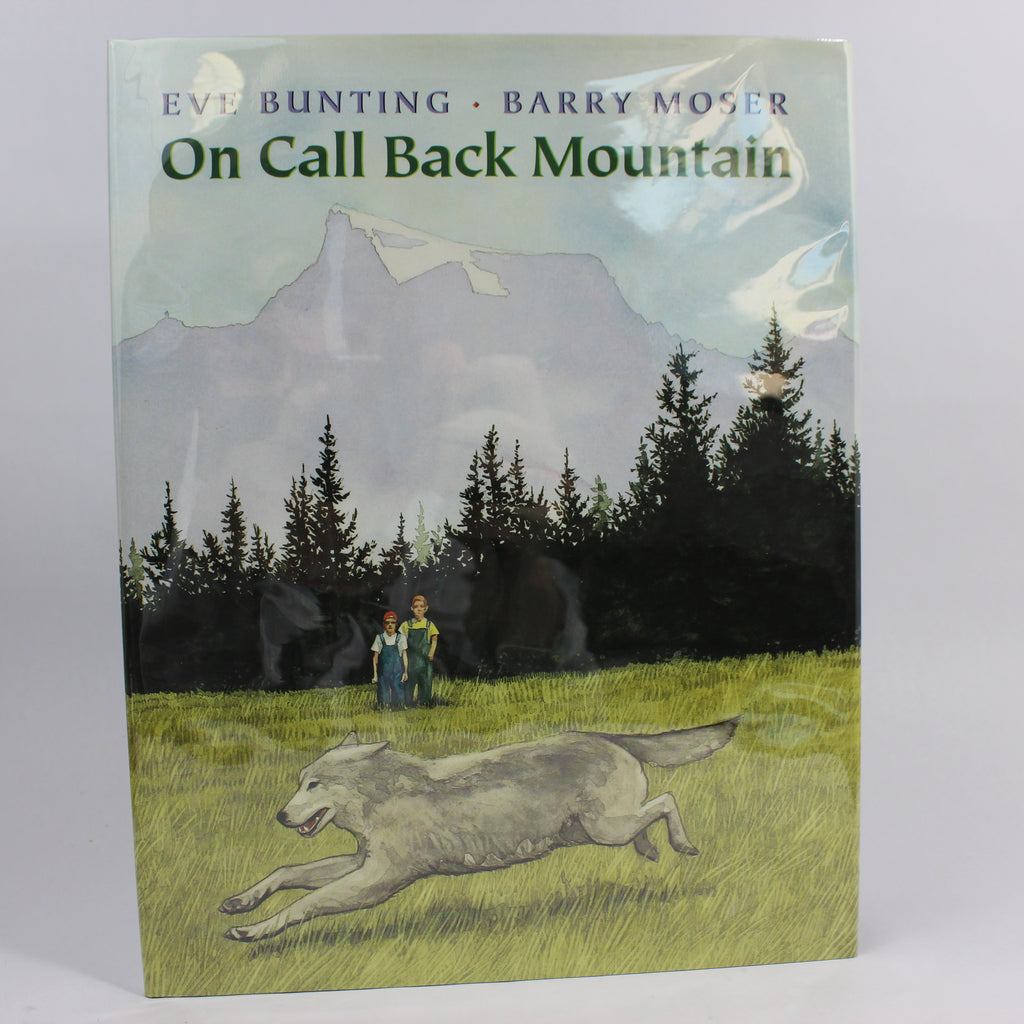 On Call Back Mountain - Eve Bunting (Hardcover, 1997)