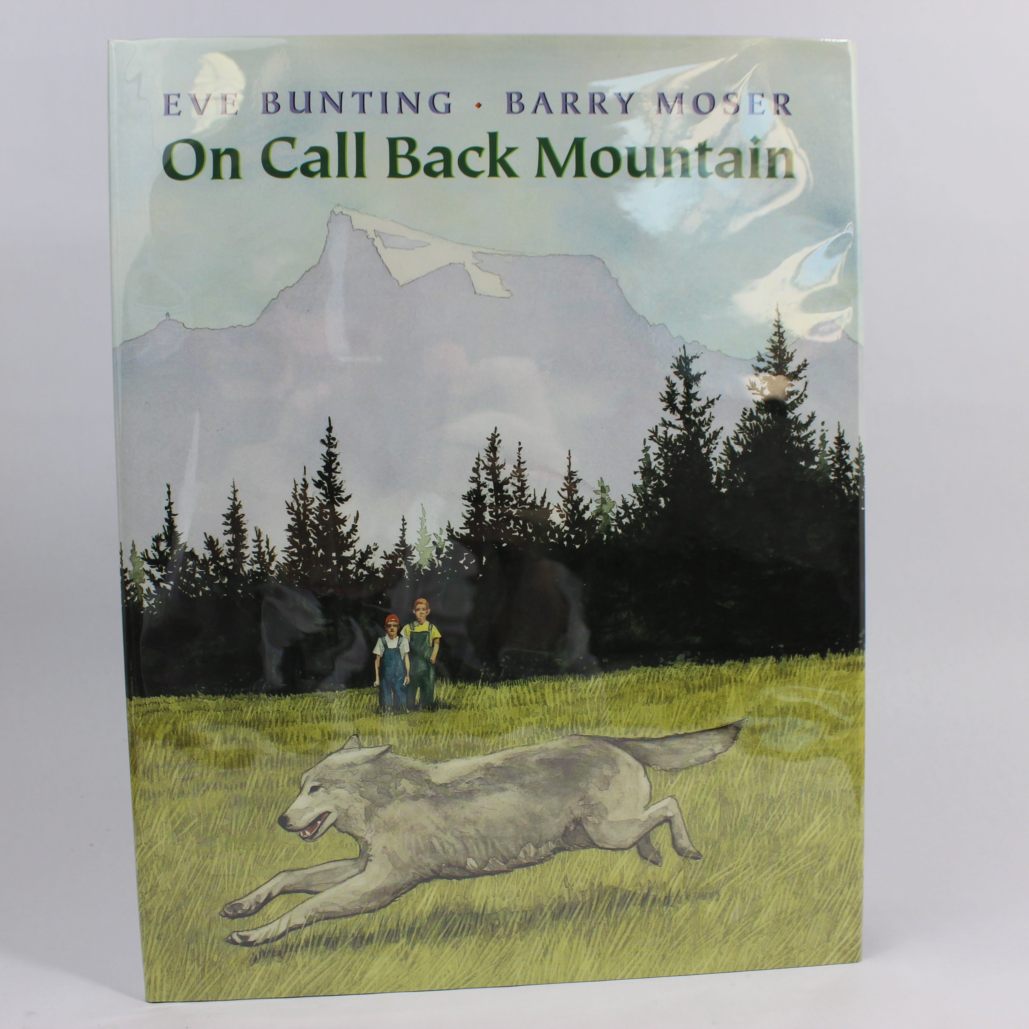 On Call Back Mountain - Eve Bunting (Hardcover, 1997)