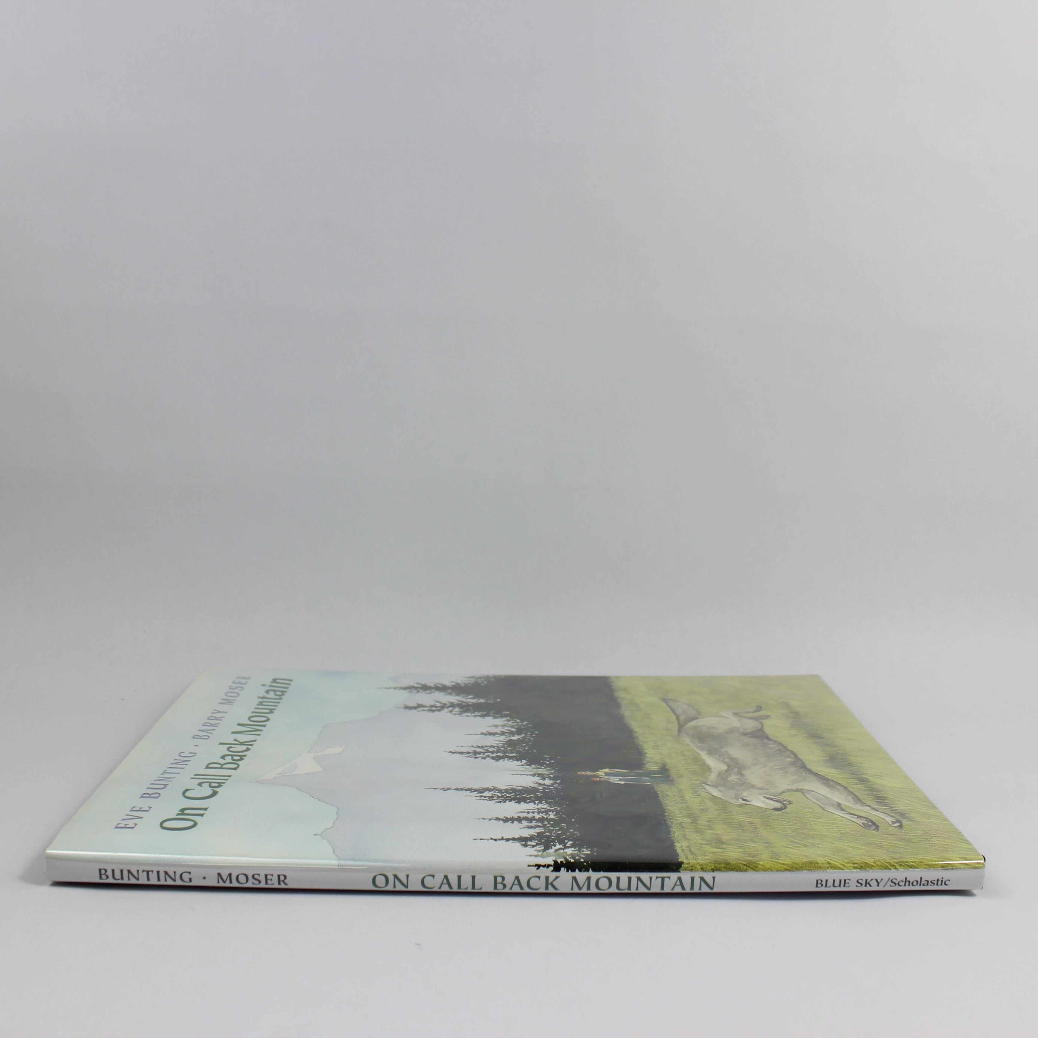 On Call Back Mountain - Eve Bunting (Hardcover, 1997) - Image 3