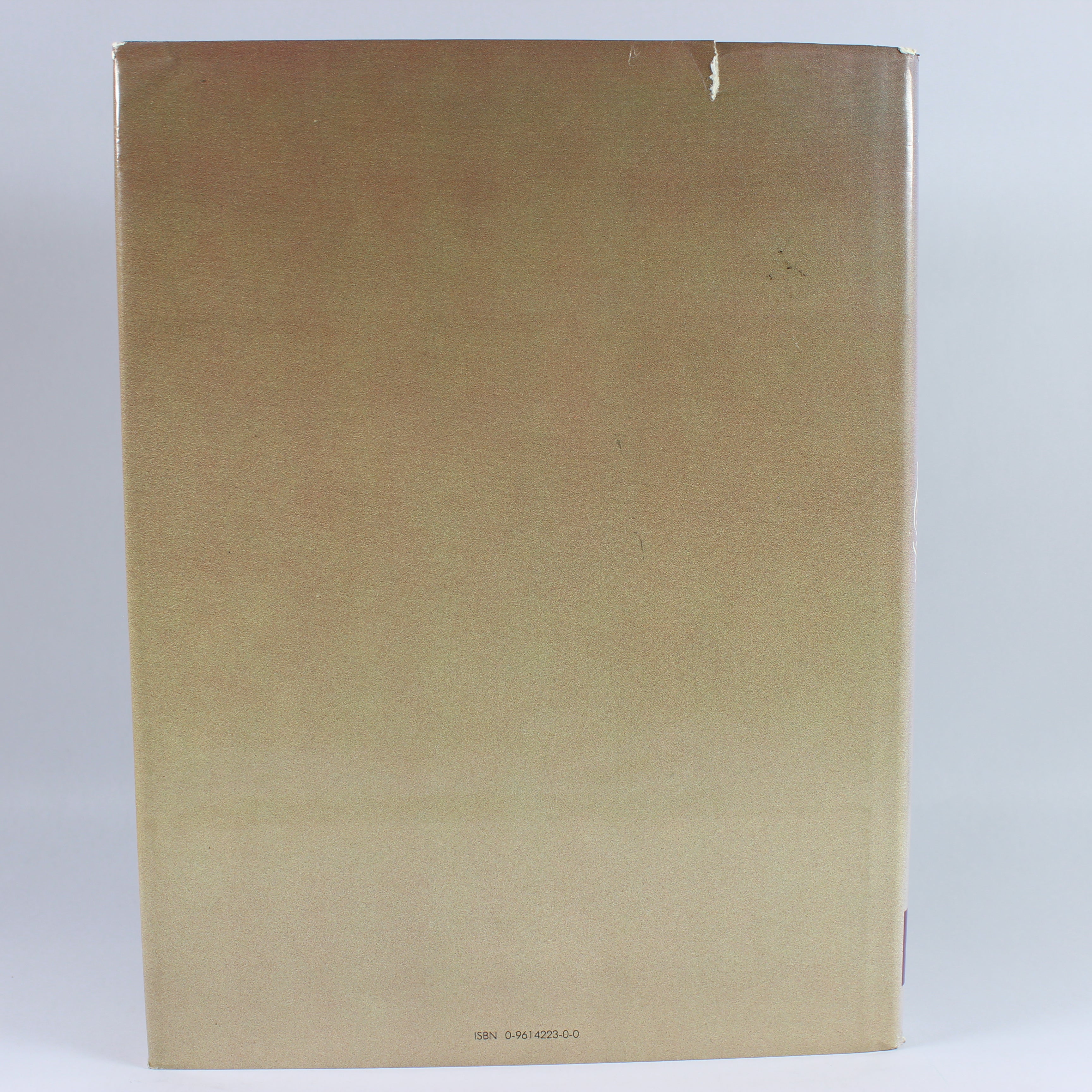 Handel Lamps: Painted Shades and Glassware - Robert Defalco (Hardcover, 1986) - Image 2
