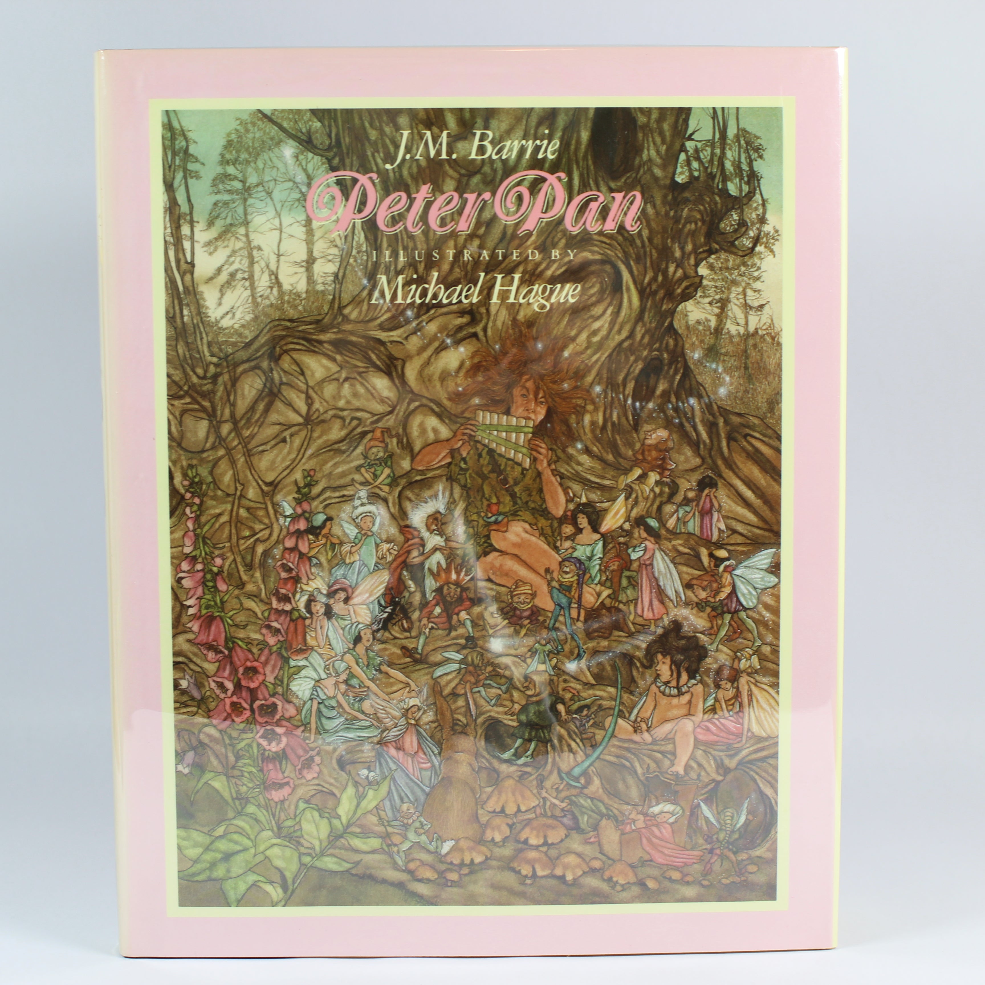 Peter Pan - J. M. Barrie (First Edition, Hardcover, 1987)