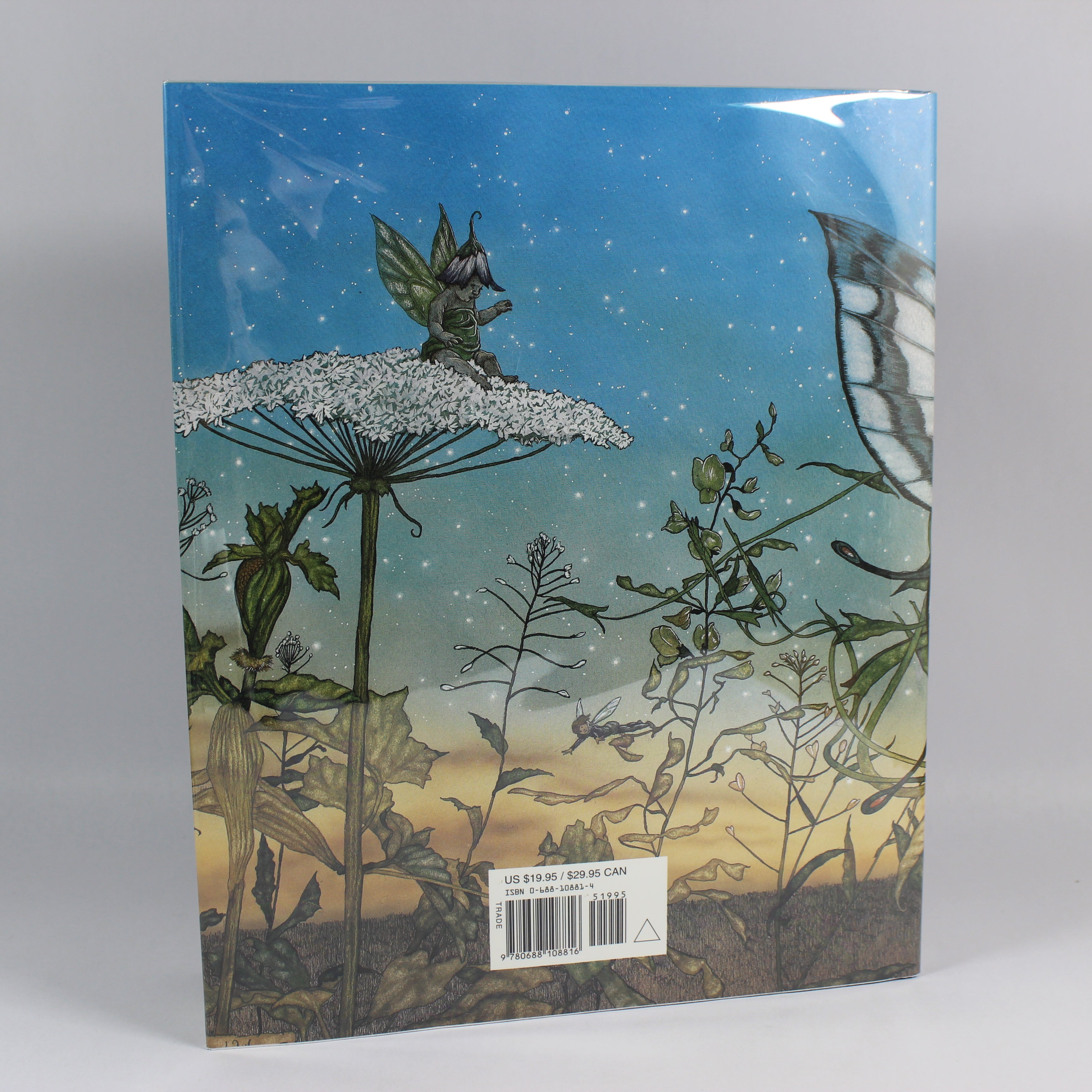 The Book of Fairies - Michael Hague (First Edition, Hardcover, 2000) - Image 3