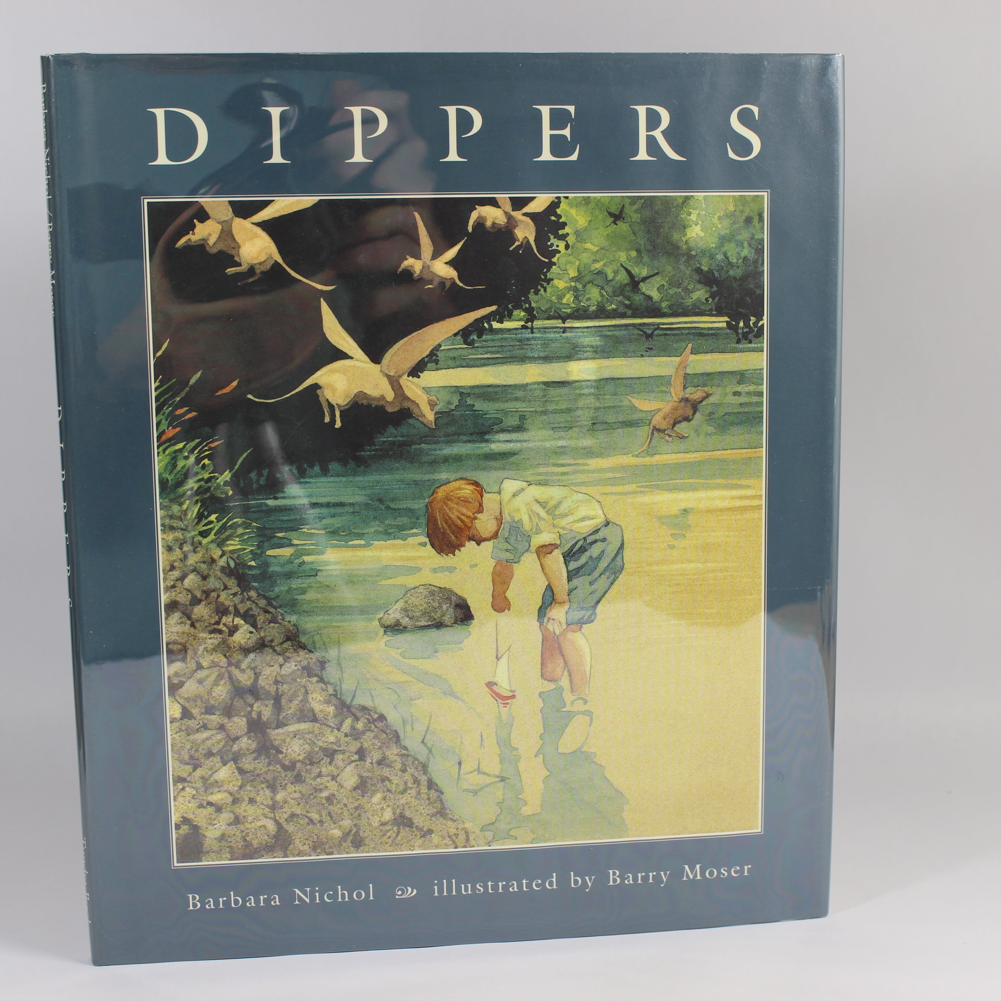 Dippers - Barbara Nichol (Hardcover, 1997)