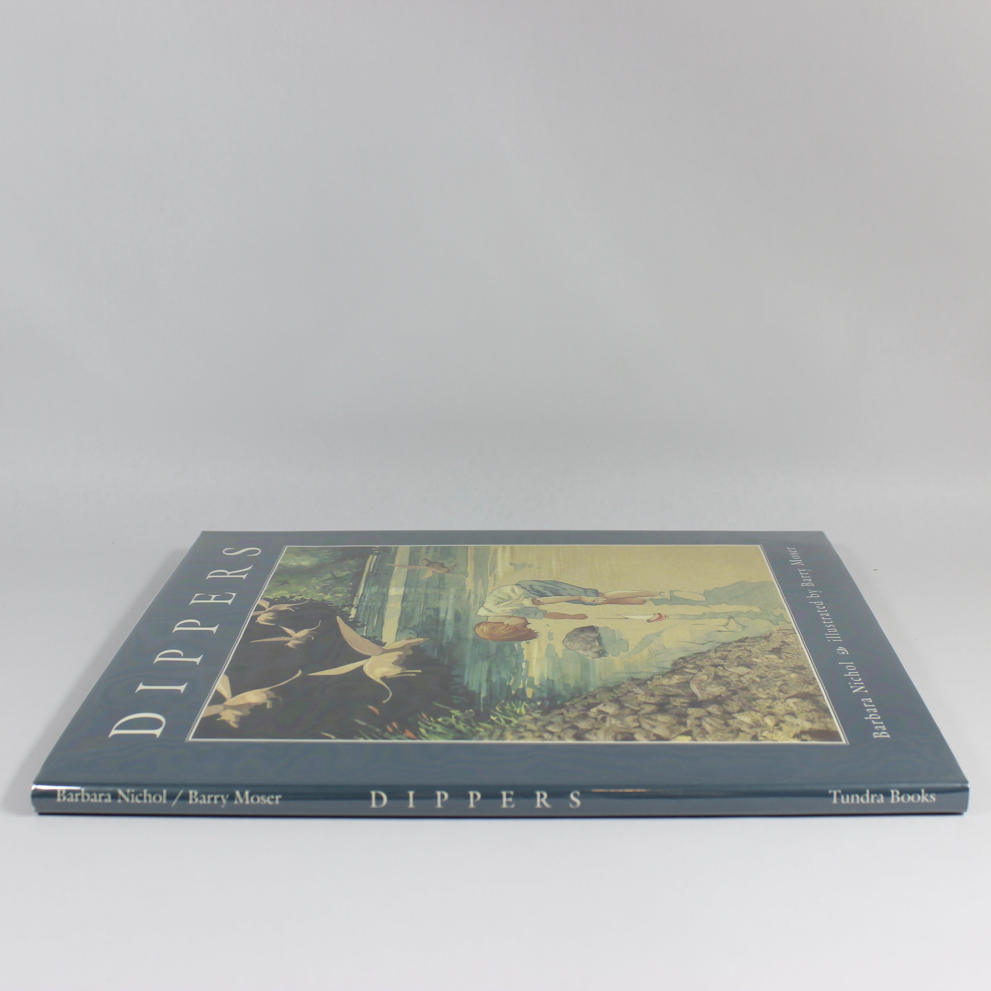 Dippers - Barbara Nichol (Hardcover, 1997) - Image 4