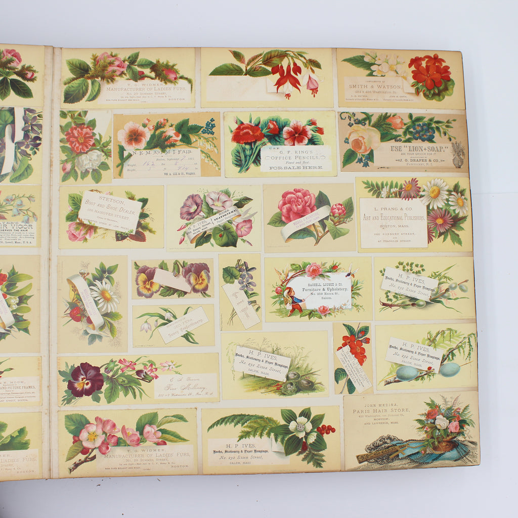 Album Full of Cards circa Early 1900s