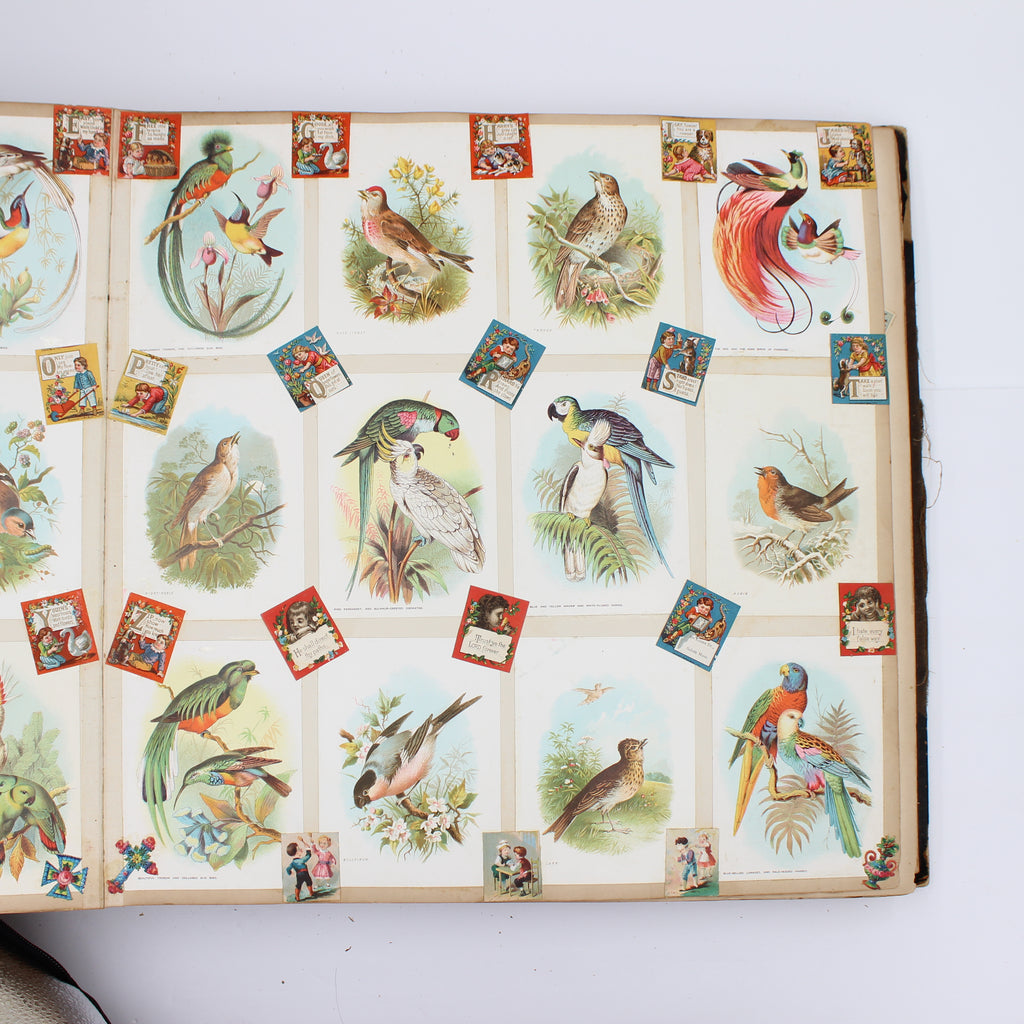 Album Full of Cards circa Early 1900s