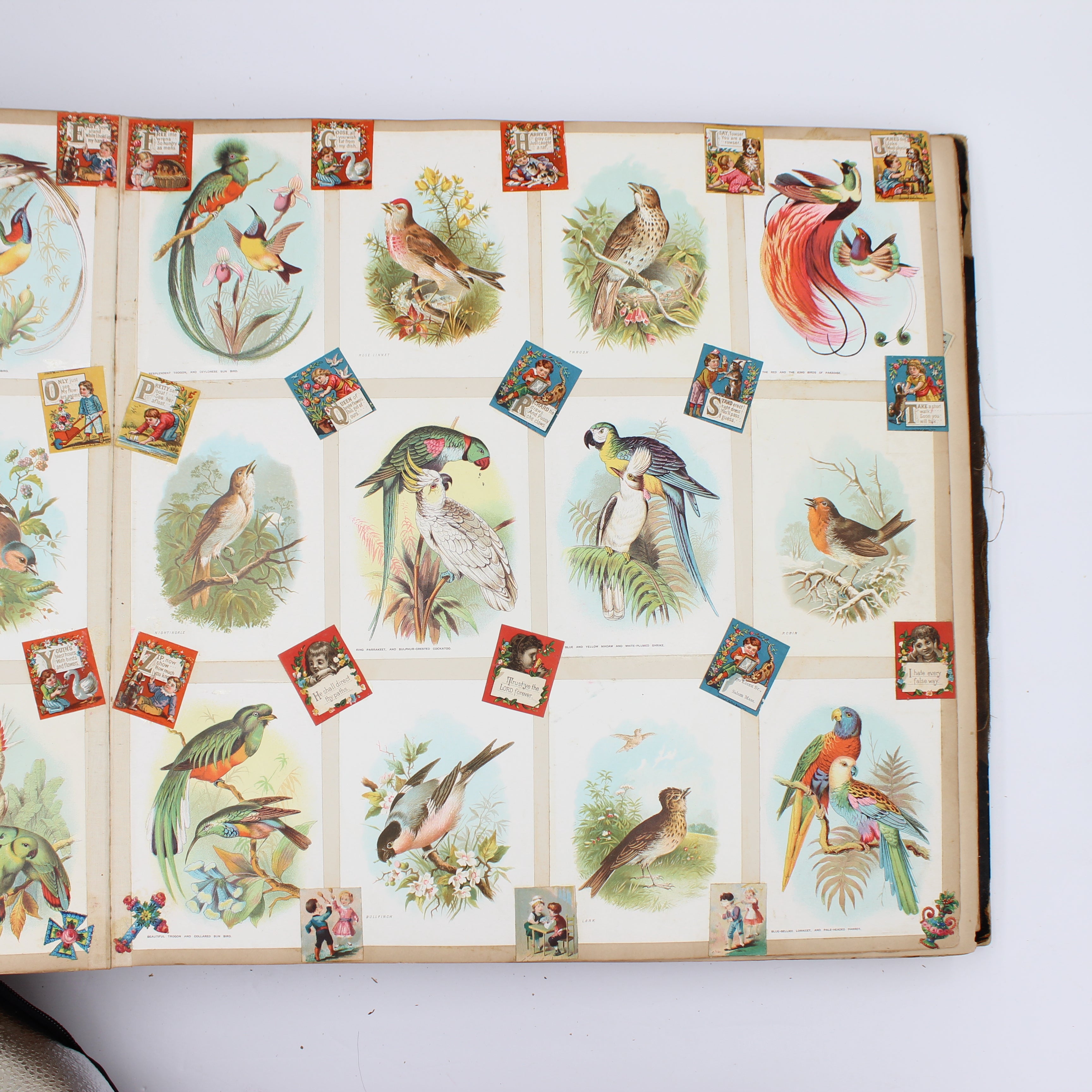 Album Full of Cards circa Early 1900s