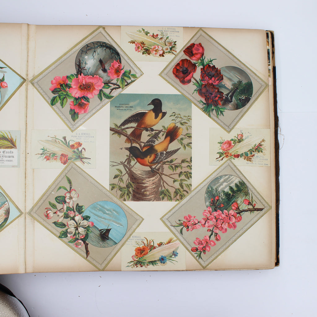 Album Full of Cards circa Early 1900s