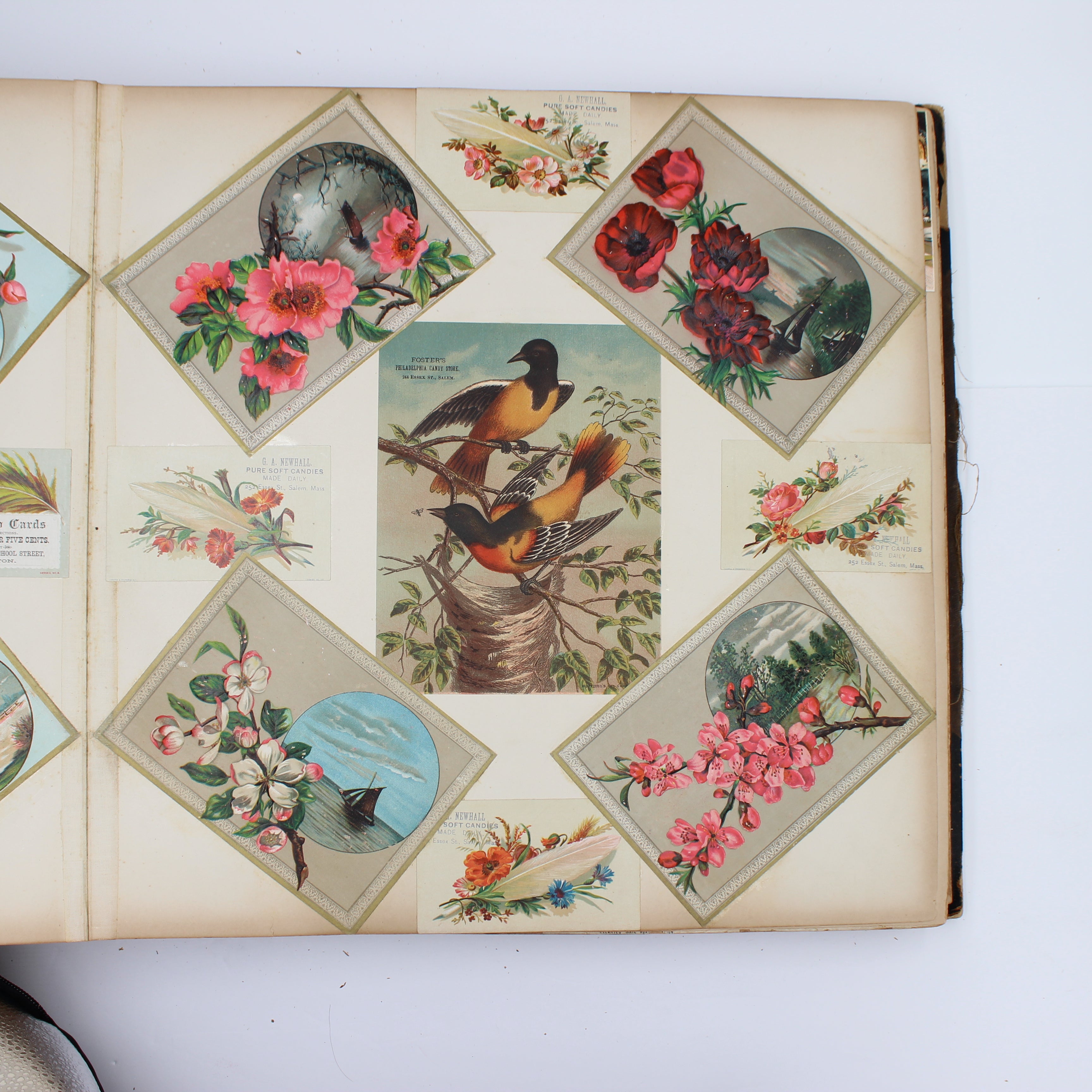 Album Full of Cards circa Early 1900s