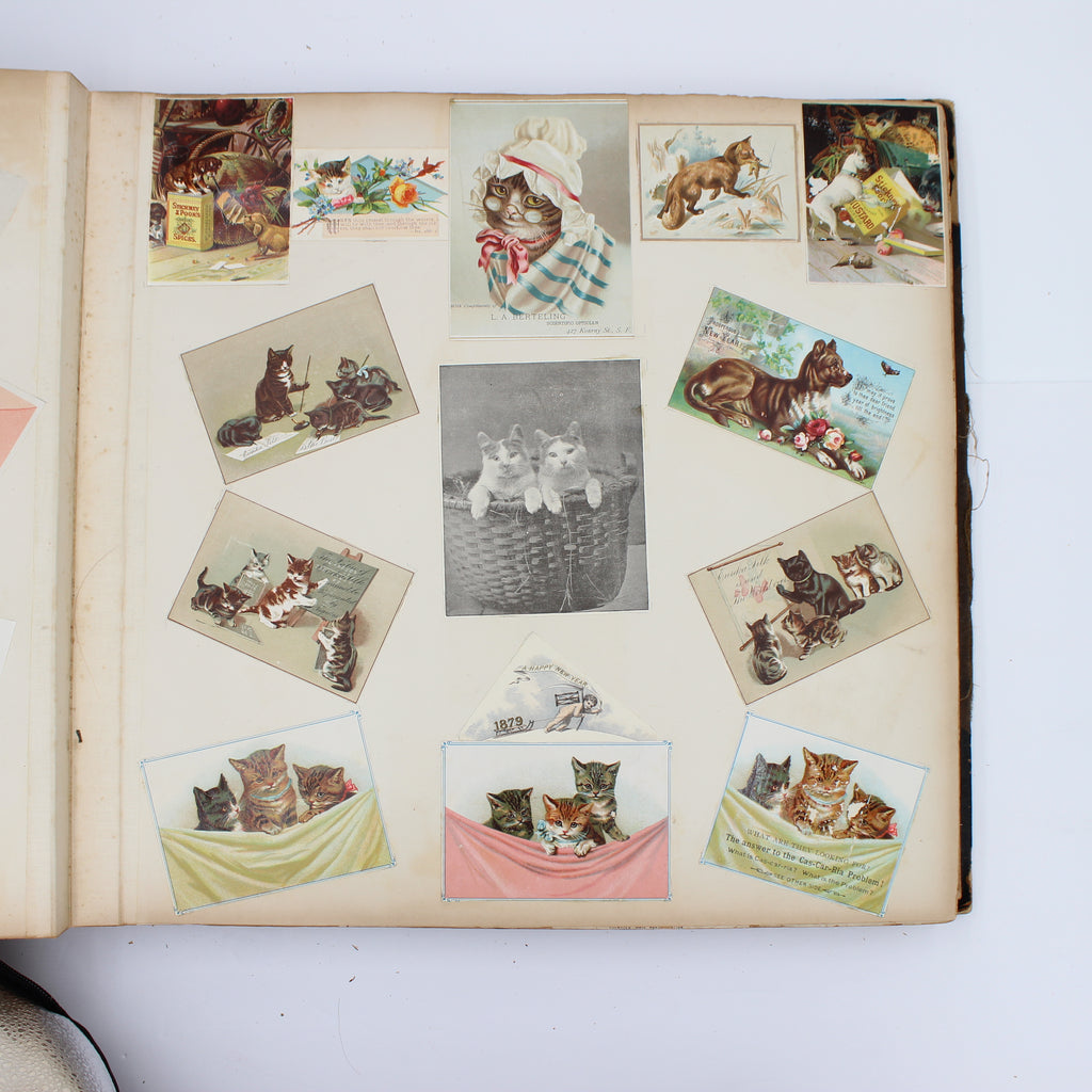 Album Full of Cards circa Early 1900s