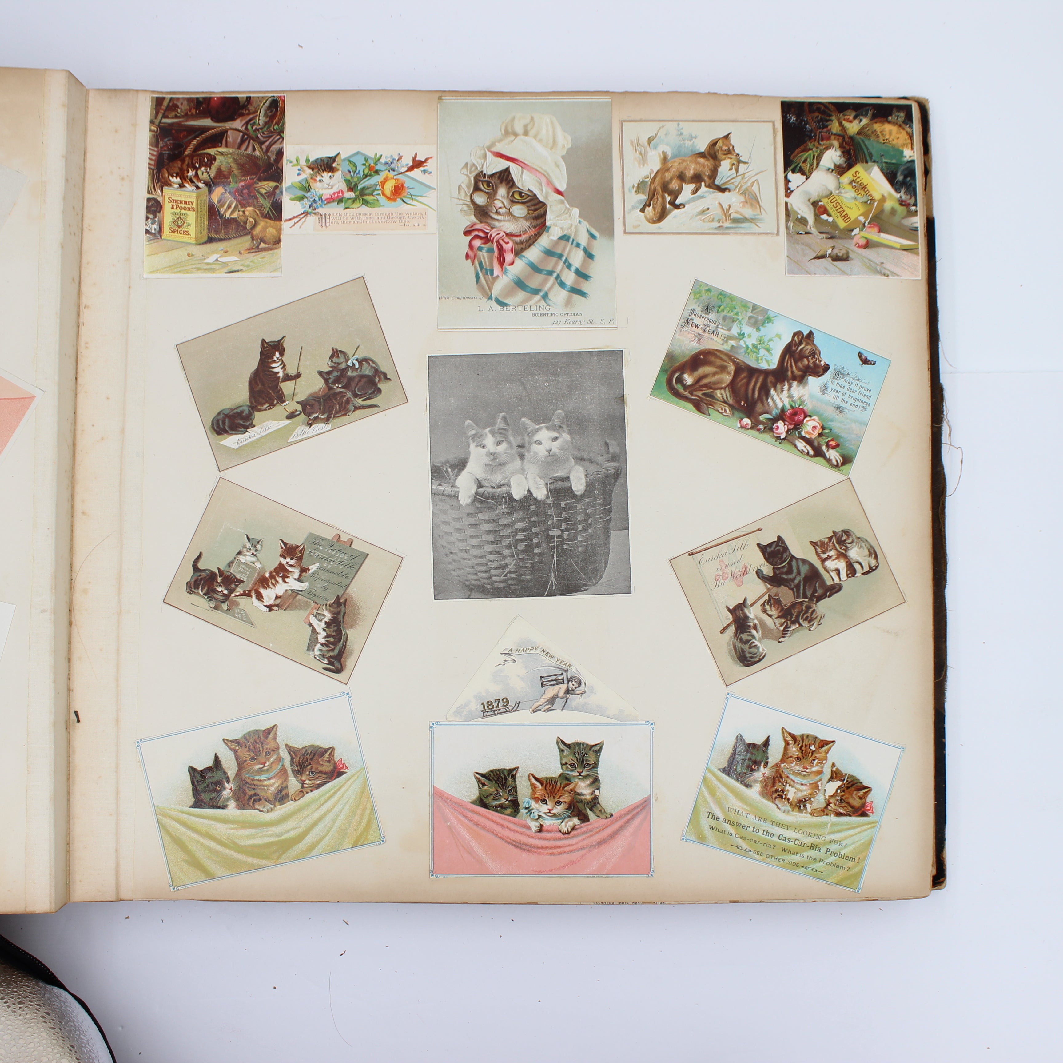 Album Full of Cards circa Early 1900s