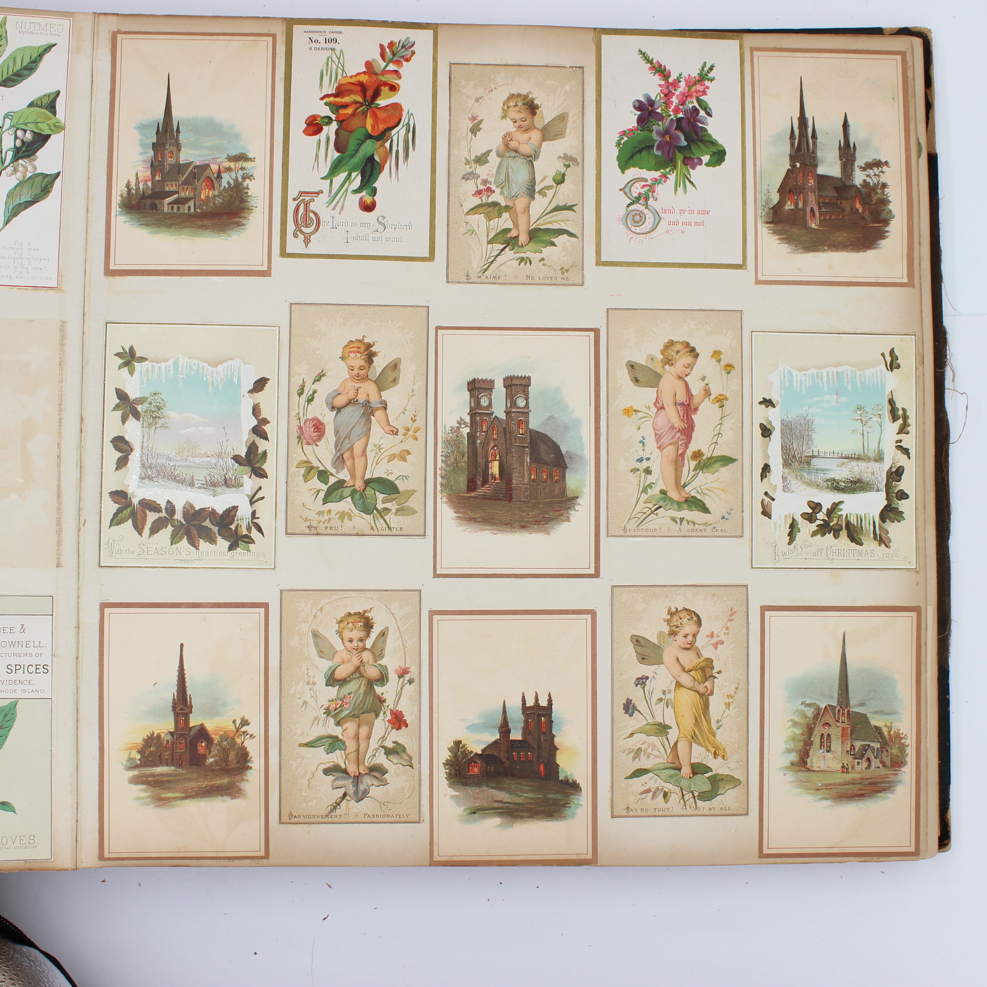 Album Full of Cards circa Early 1900s