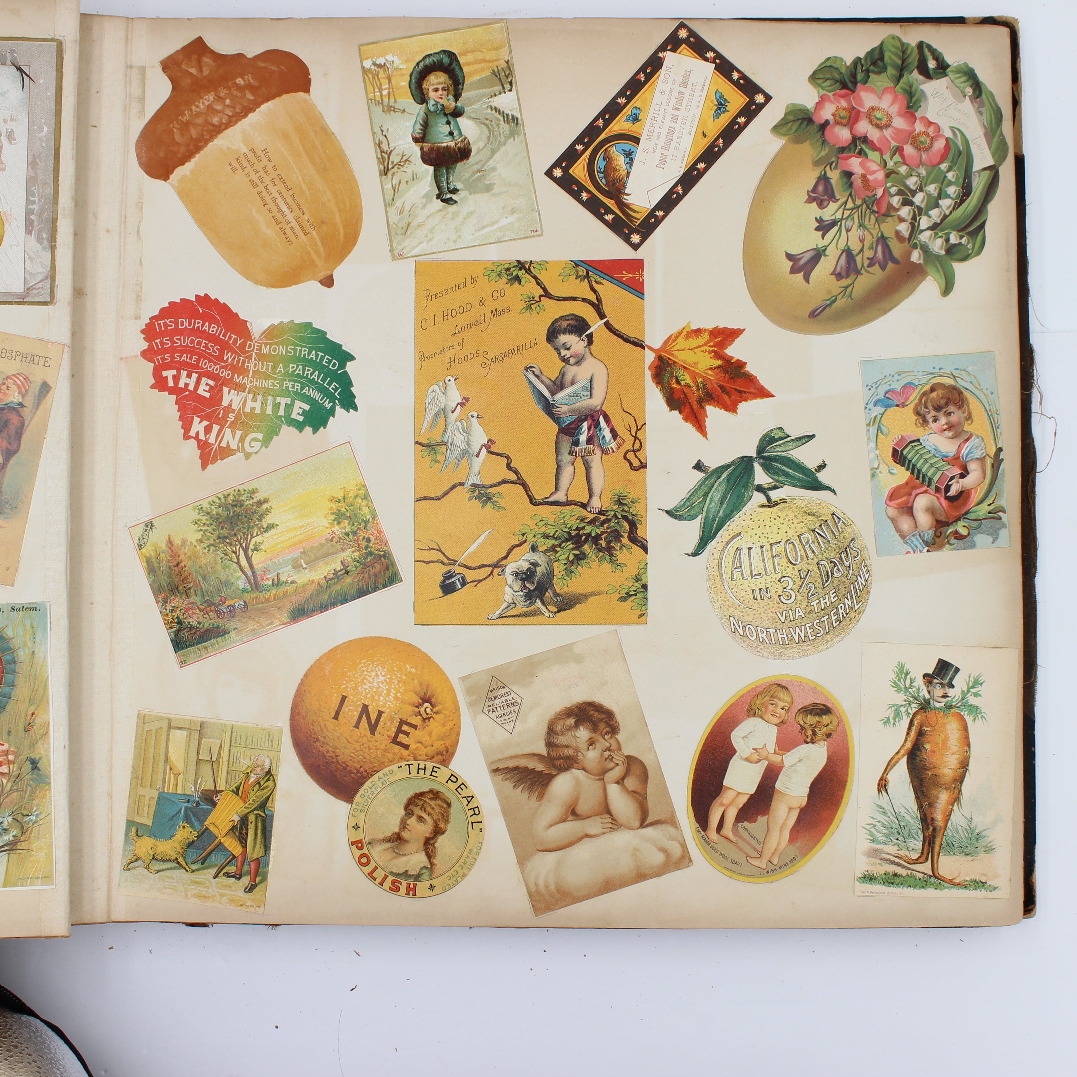 Album Full of Cards circa Early 1900s