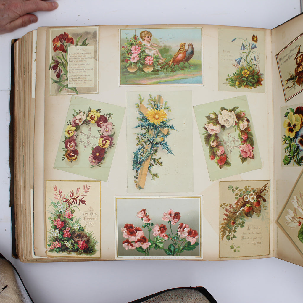 Album Full of Cards circa Early 1900s