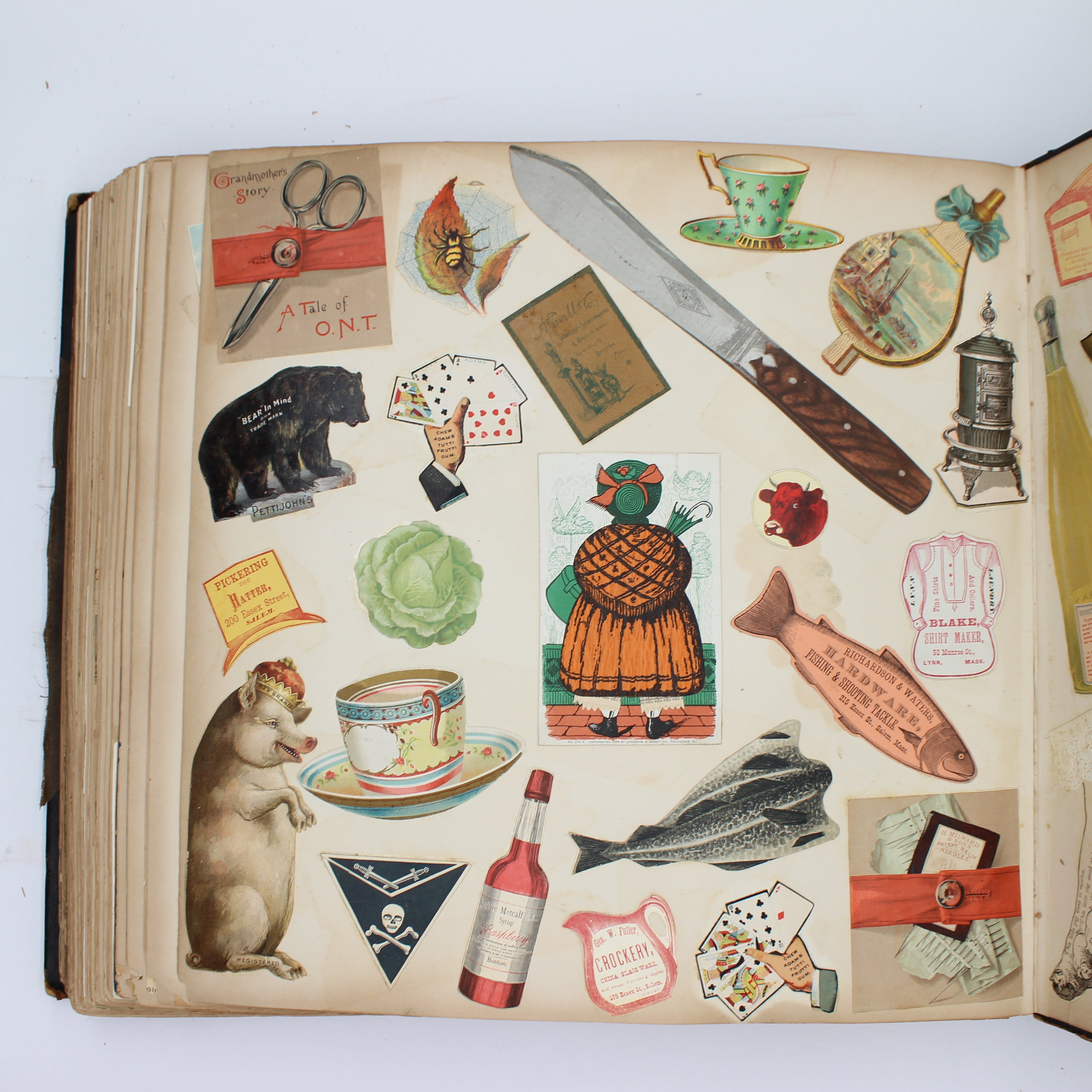 Album Full of Cards circa Early 1900s