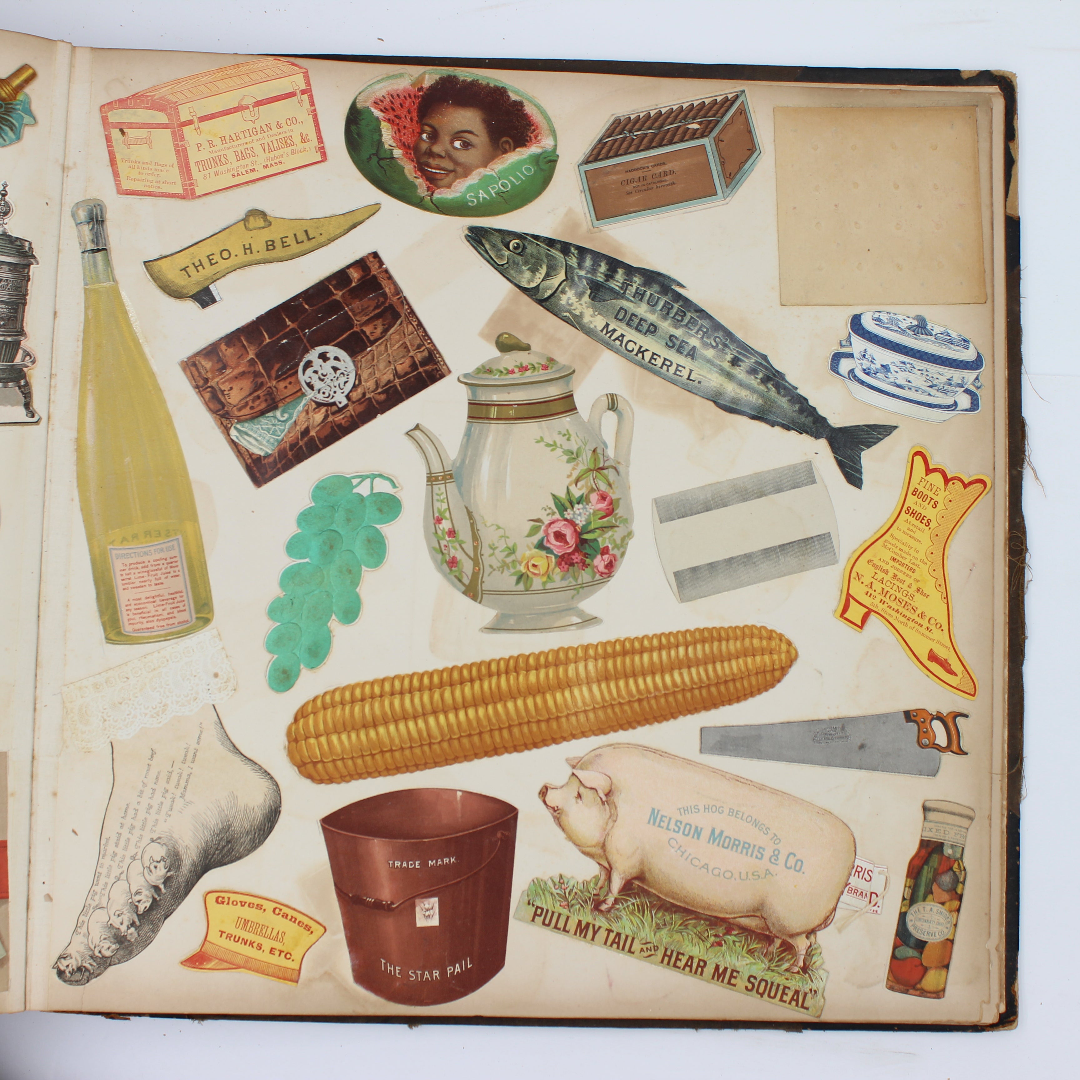 Album Full of Cards circa Early 1900s