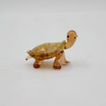 Glass Turtle