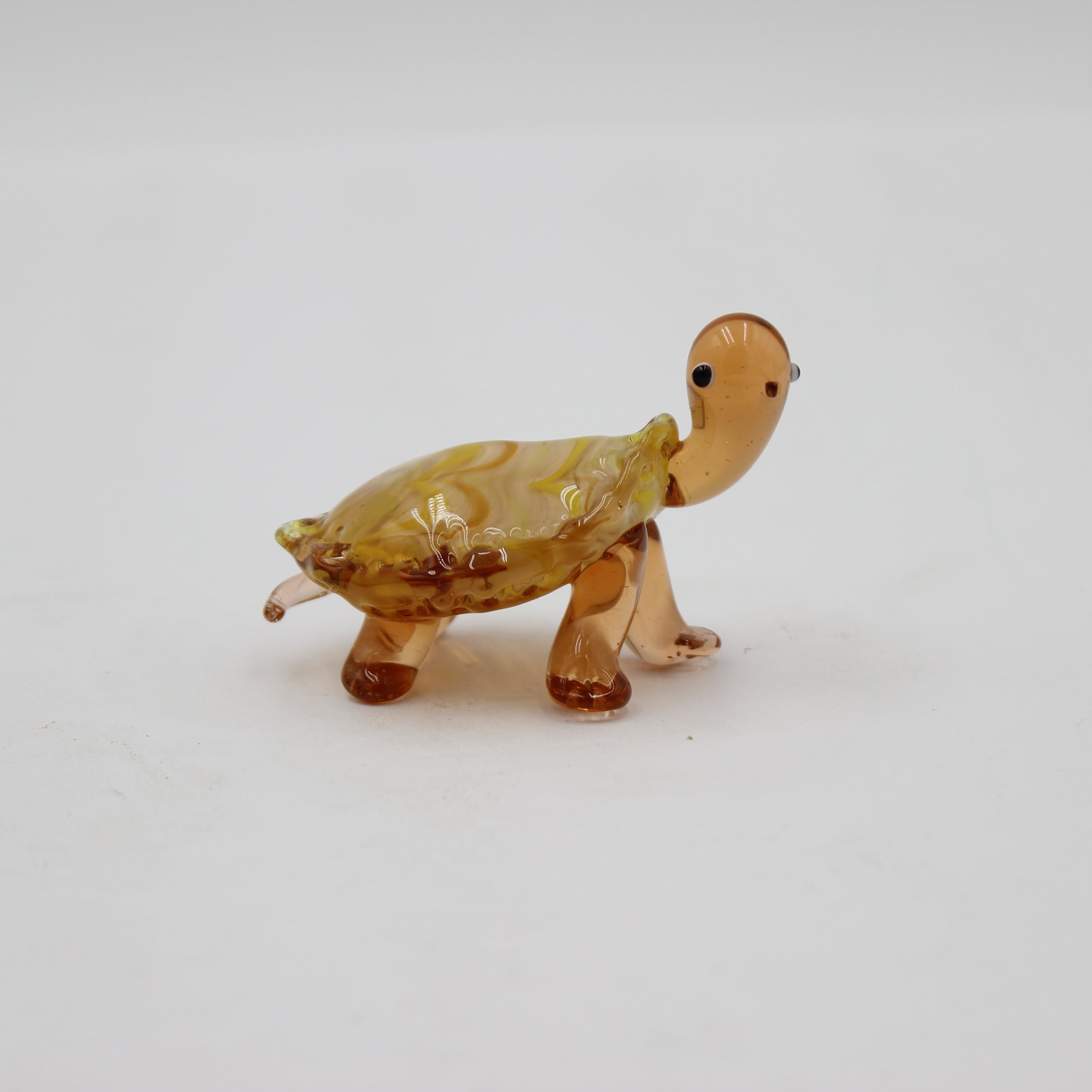 Glass Turtle