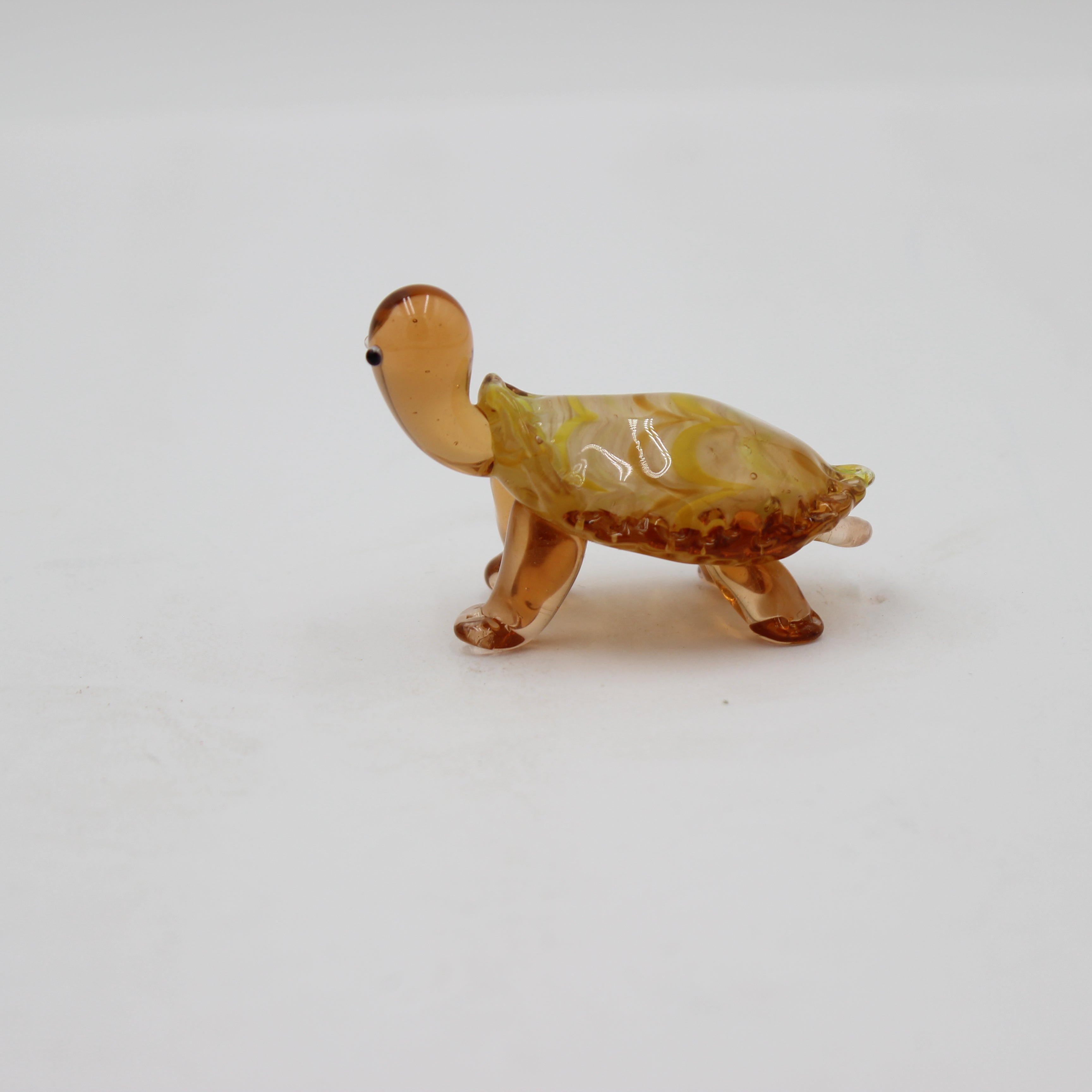 Glass Turtle
